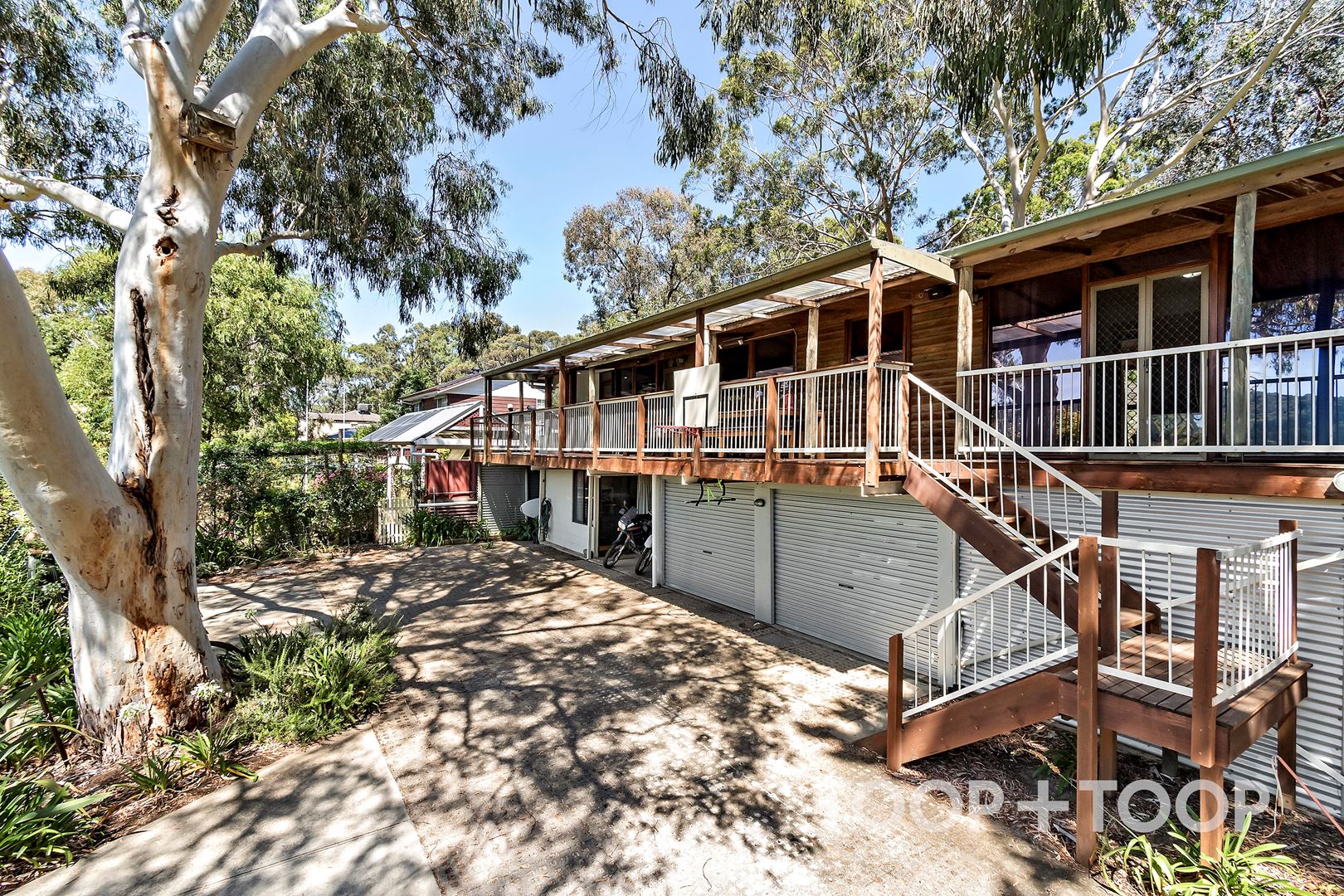 24 Jackson Avenue, Coromandel Valley SA 5051, Coromandel Valley - Thumbnail 3
