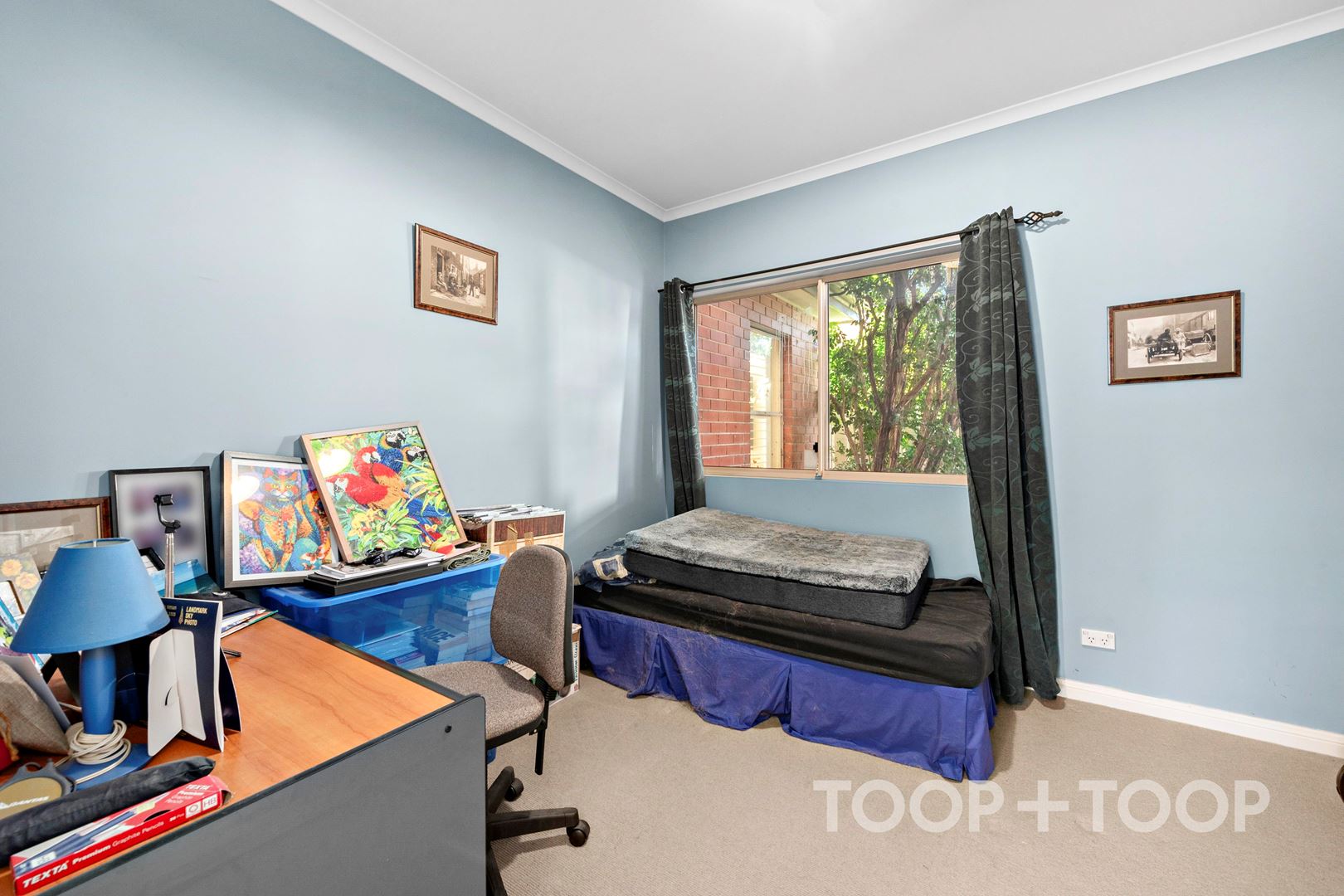 2 / 33 Cator Street, West Hindmarsh SA 5007, West Hindmarsh - Thumbnail 5
