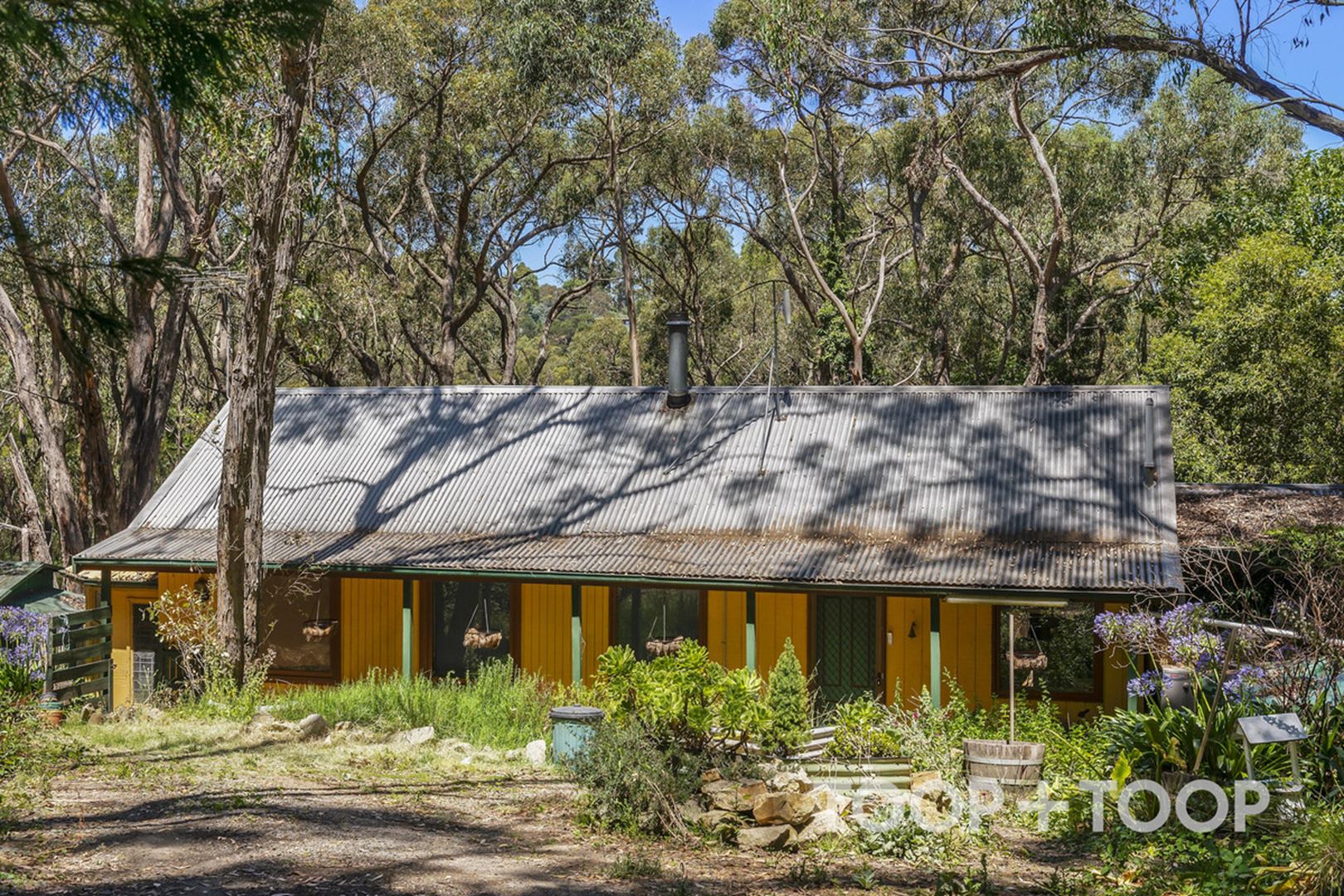 17 Conrad Road,, Longwood SA 5153, Longwood - Thumbnail 2