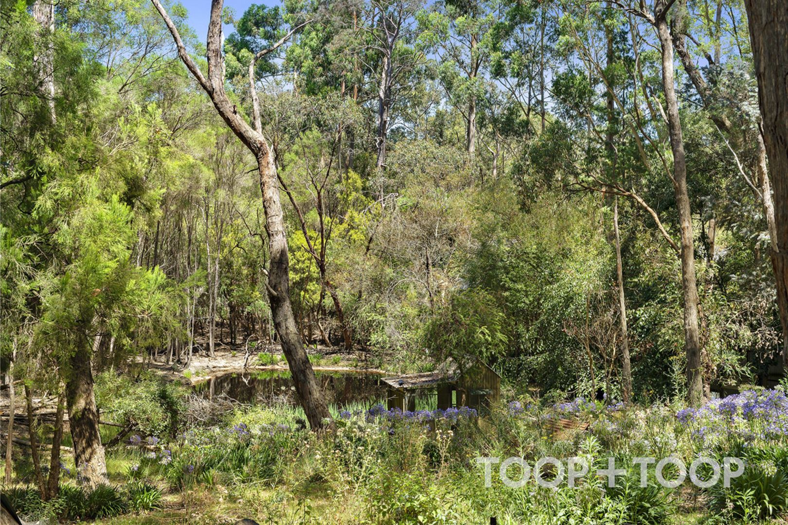 17 Conrad Road,, Longwood SA 5153, Longwood - Thumbnail 3