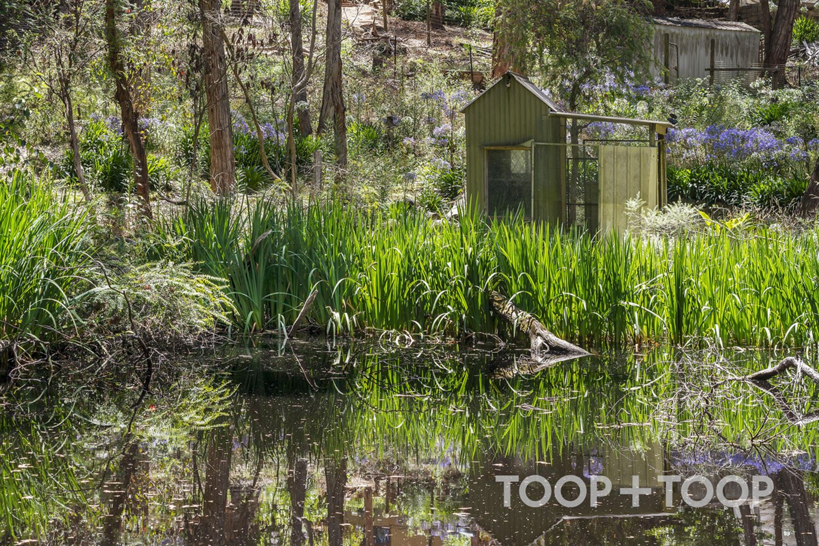 17 Conrad Road,, Longwood SA 5153, Longwood - Thumbnail 4
