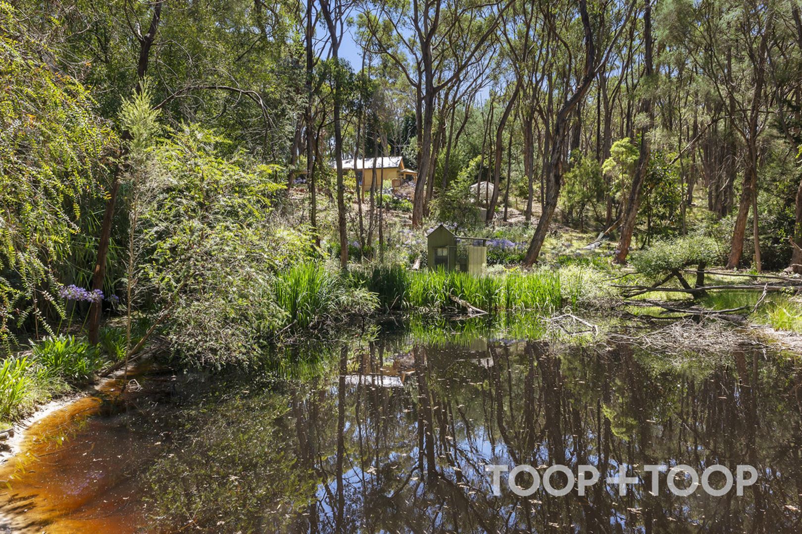 17 Conrad Road,, Longwood SA 5153, Longwood - Thumbnail 5