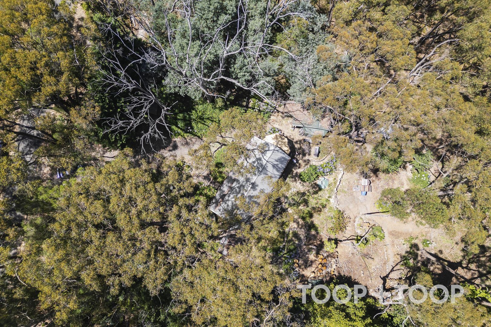 17 Conrad Road,, Longwood SA 5153, Longwood - Thumbnail 7