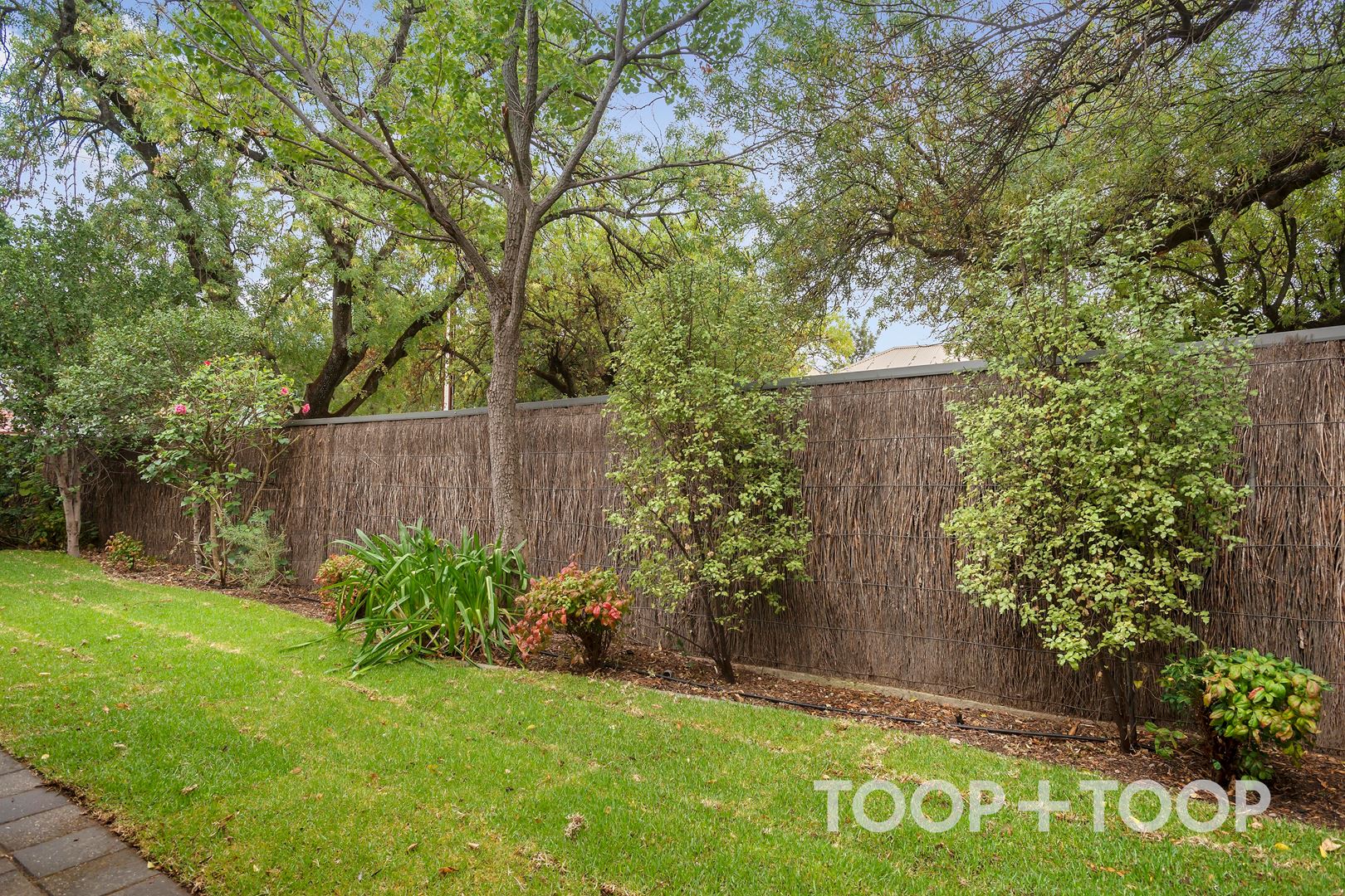 30 Kyle Street, Glenside SA 5065, Glenside - Thumbnail 4