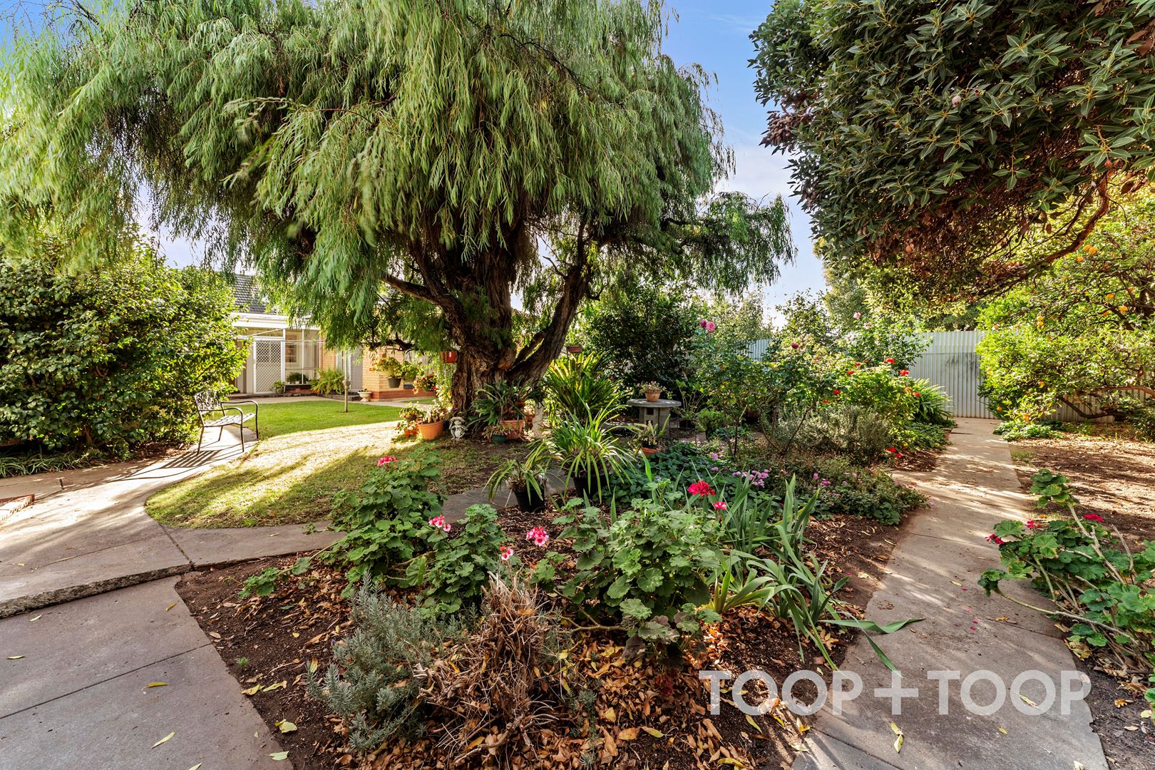 5 Harley Road, Croydon Park SA 5008, Croydon Park - Thumbnail 7