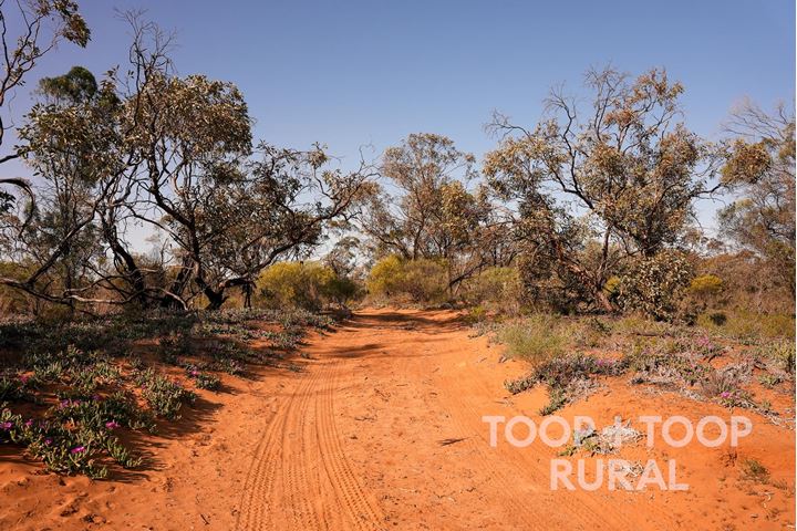 Lot 1265 Warnecke Road