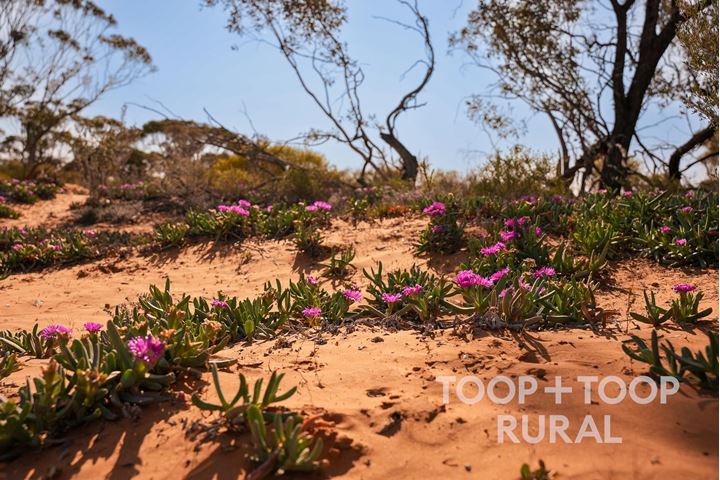 Lot 1265 Warnecke Road