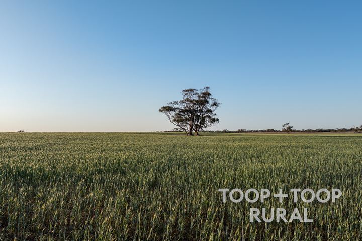 Lot 499 Murbko Road