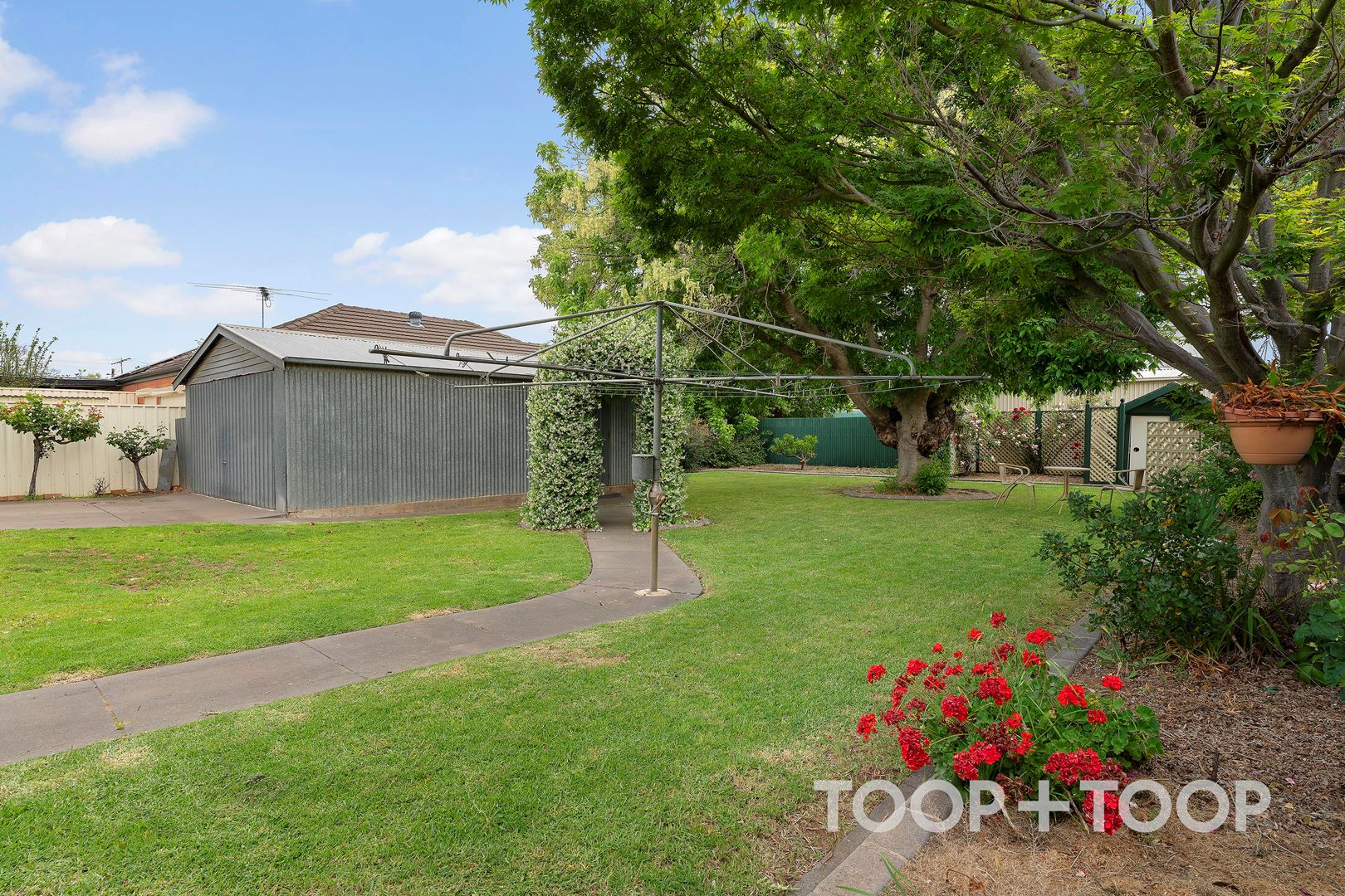 3 Lyall Avenue, Hampstead Gardens SA 5086, Hampstead Gardens - Thumbnail 5