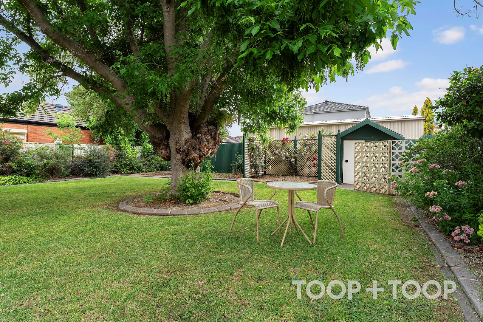3 Lyall Avenue, Hampstead Gardens SA 5086, Hampstead Gardens - Thumbnail 6