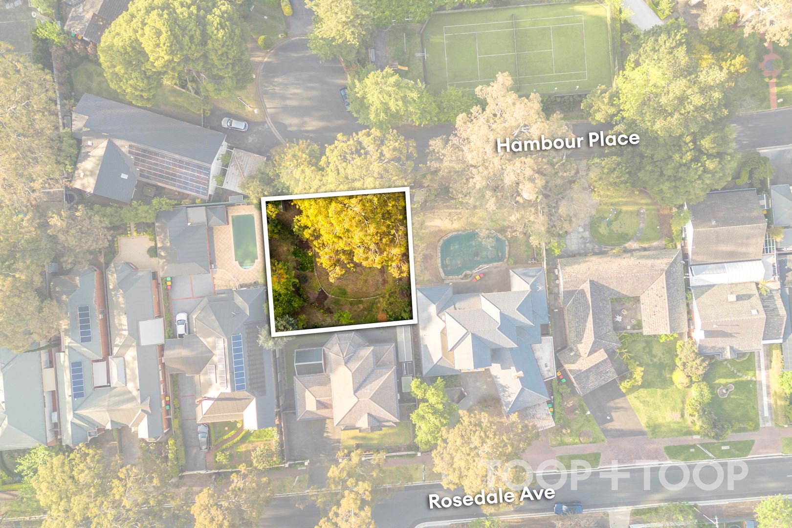 1E Hambour Place, Wattle Park SA 5066, Wattle Park - Thumbnail 3