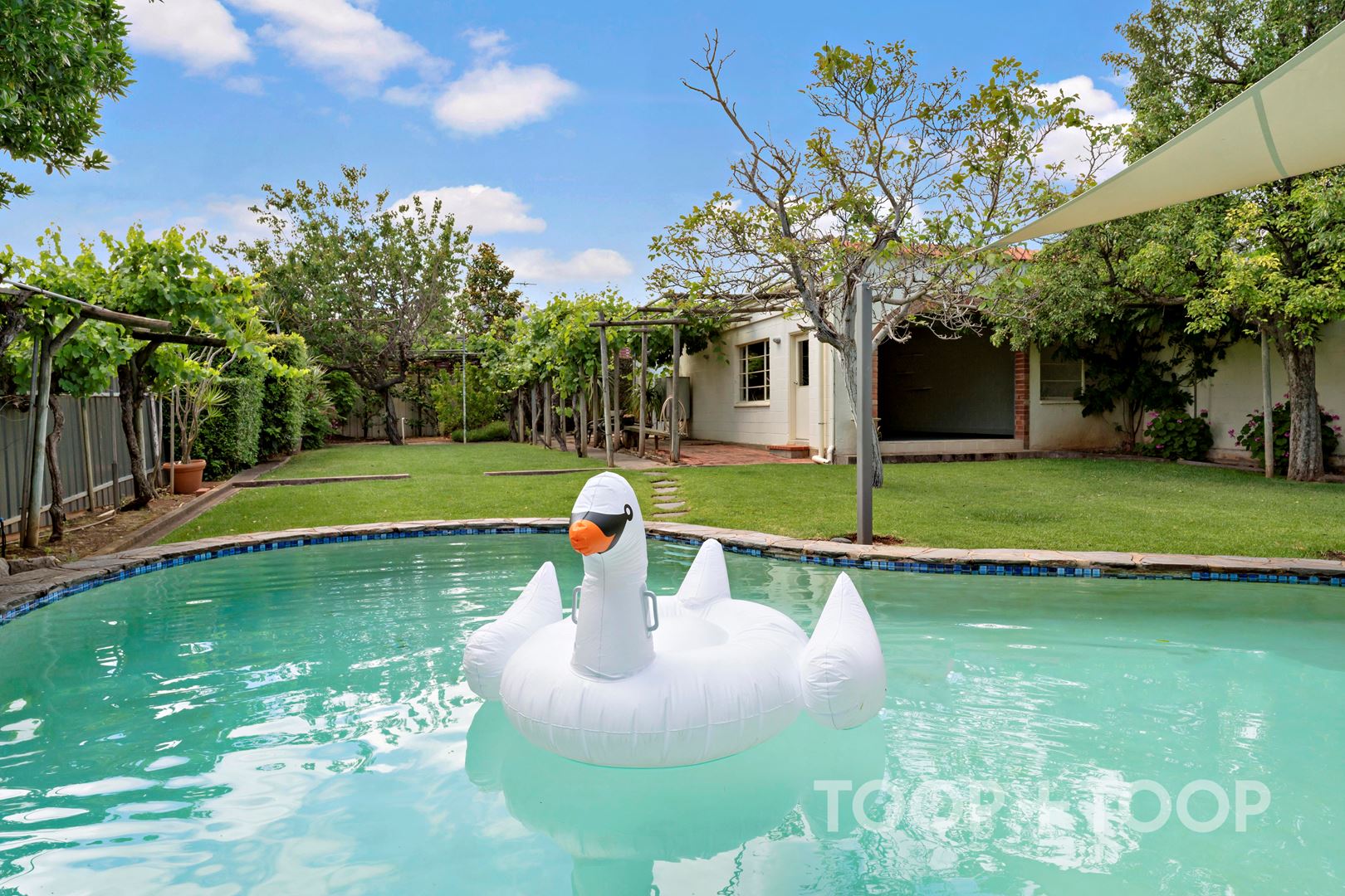30 Barnes Avenue, Magill SA 5072, Magill - Thumbnail 4