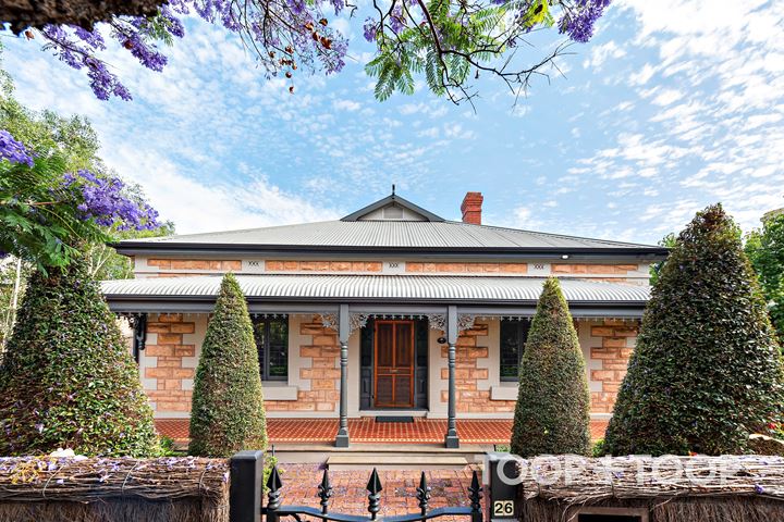 トップス house on the hill S/STee 80cm 26 Fashoda Street, Hyde Park SA 5061 - TOOP+TOOP