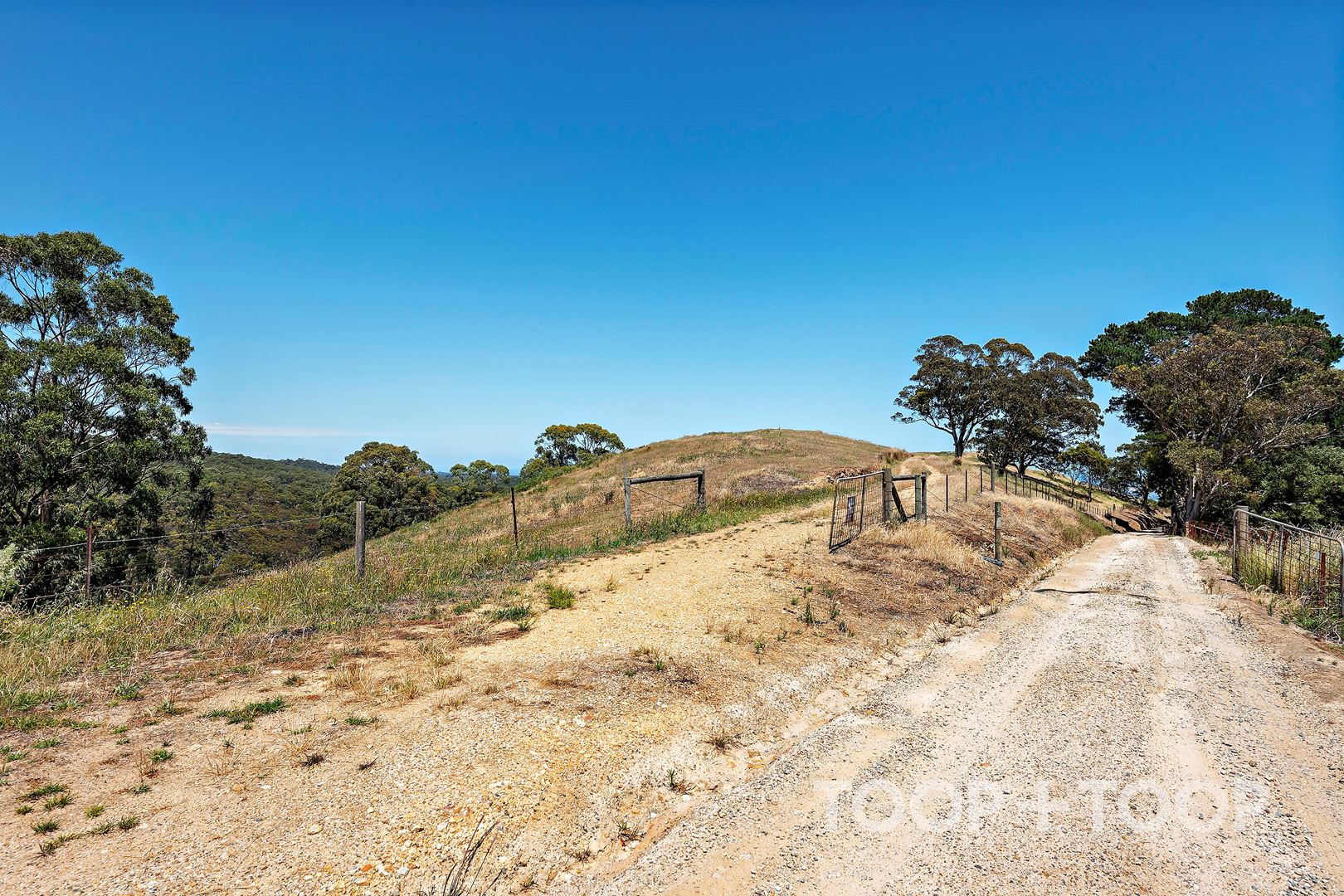 81A Ridge Road, Summertown SA 5141, Summertown - Thumbnail 7