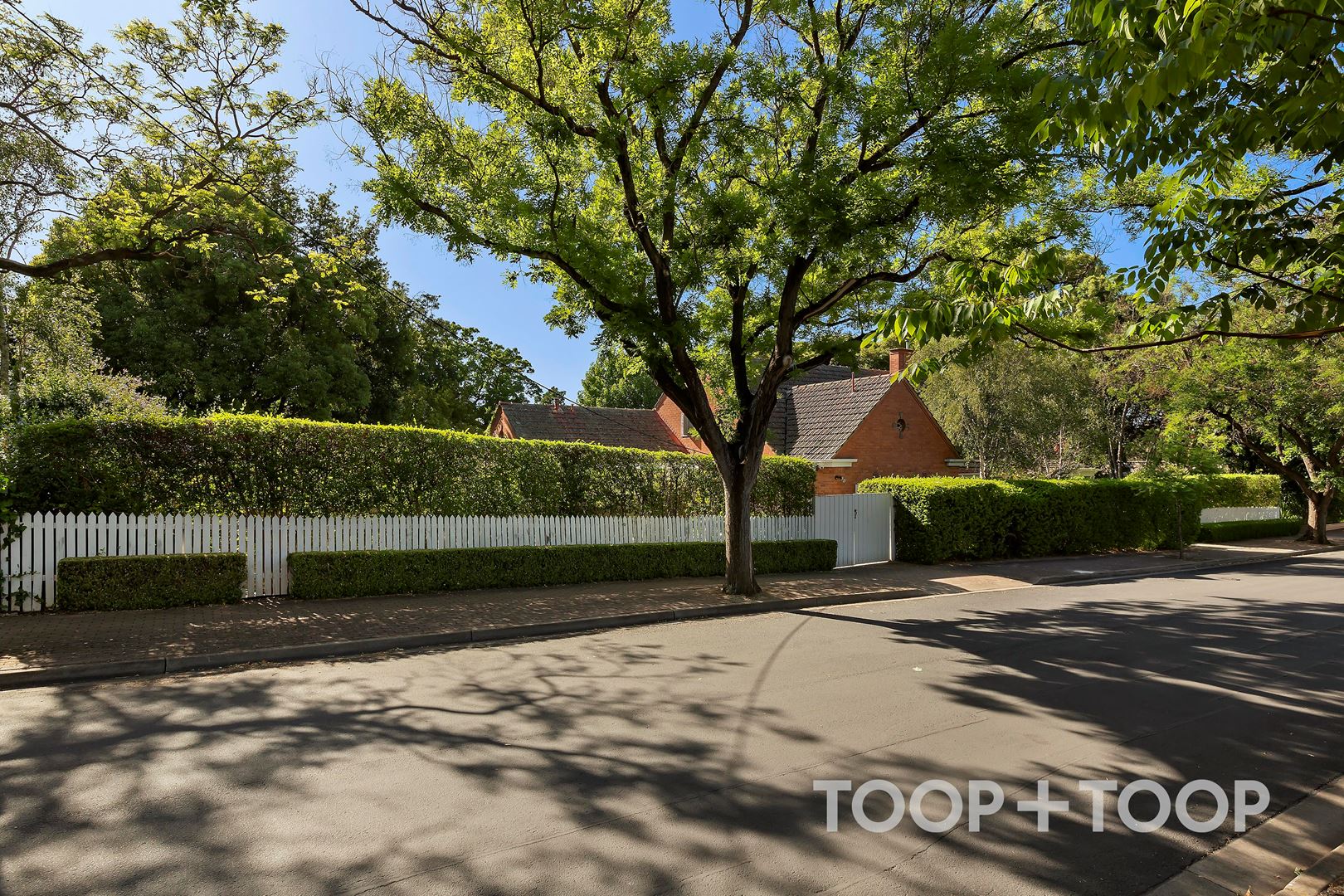 2 Palm Street, Medindie SA 5081, Medindie - Image 1