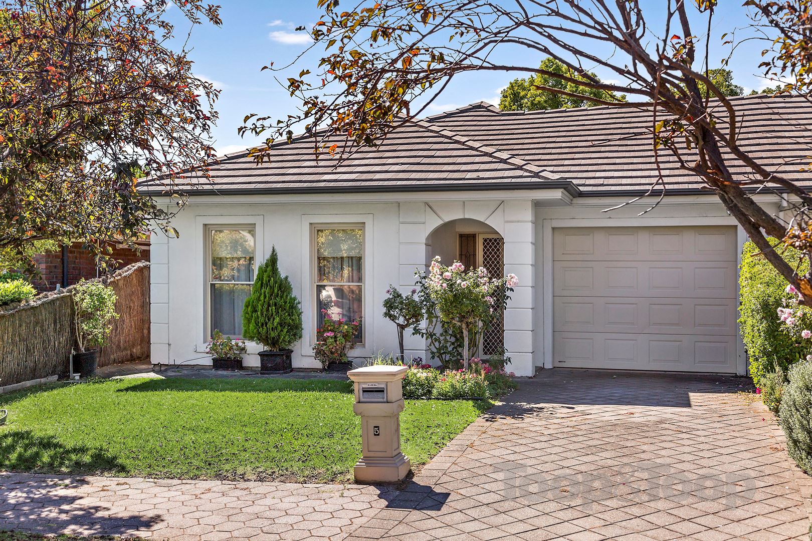 5 Austral Avenue, Linden Park SA 5065, Linden Park - Image 1