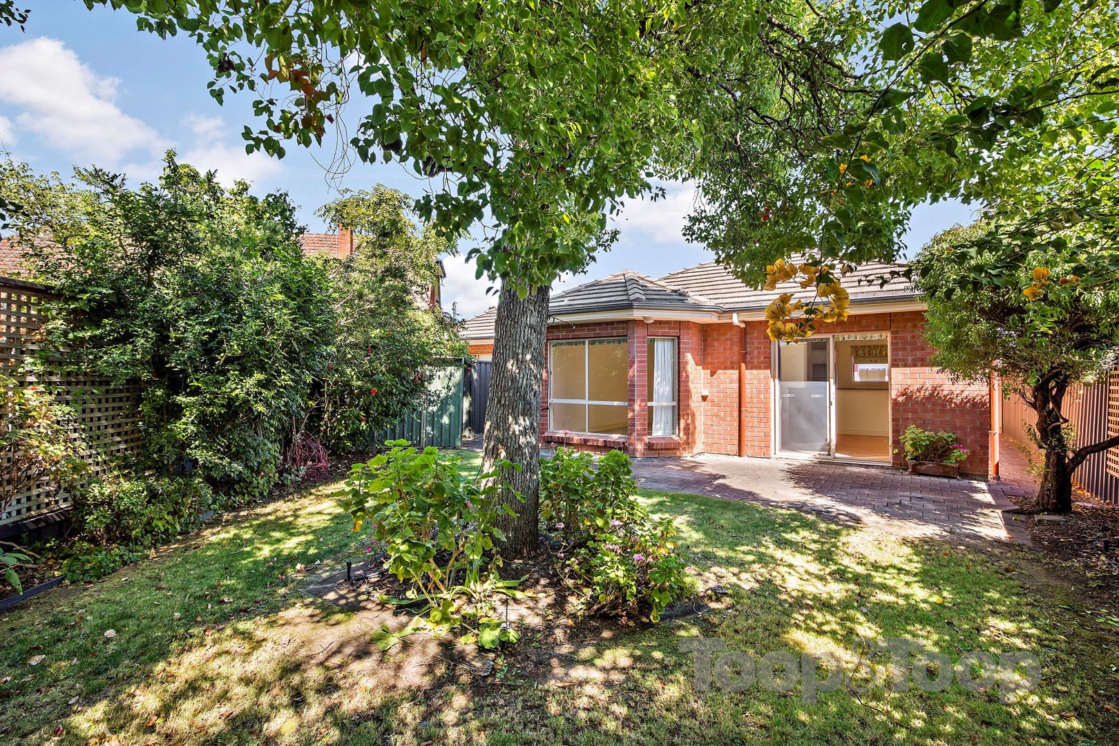 5 Austral Avenue, Linden Park SA 5065, Linden Park - Thumbnail 6