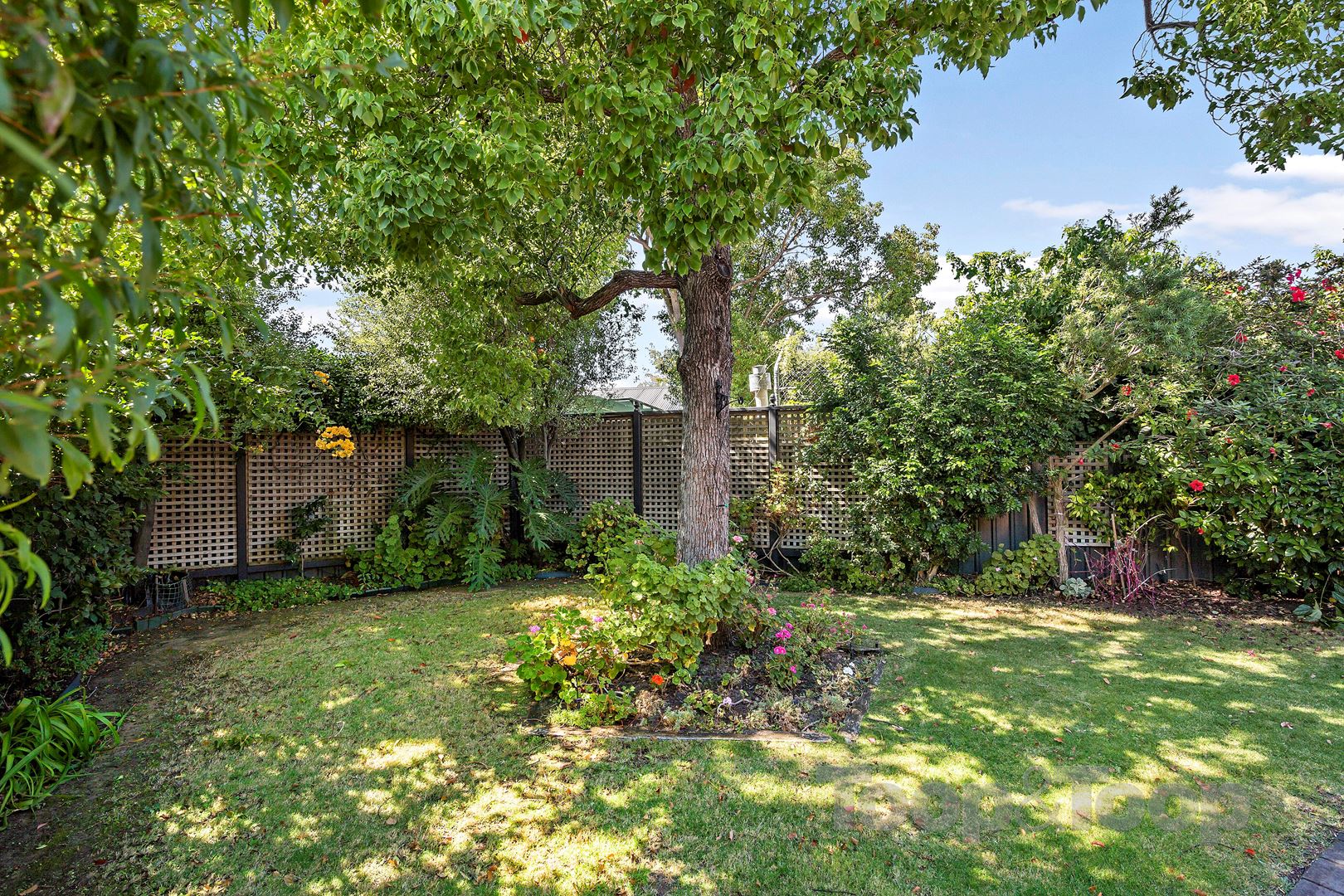 5 Austral Avenue, Linden Park SA 5065, Linden Park - Thumbnail 7
