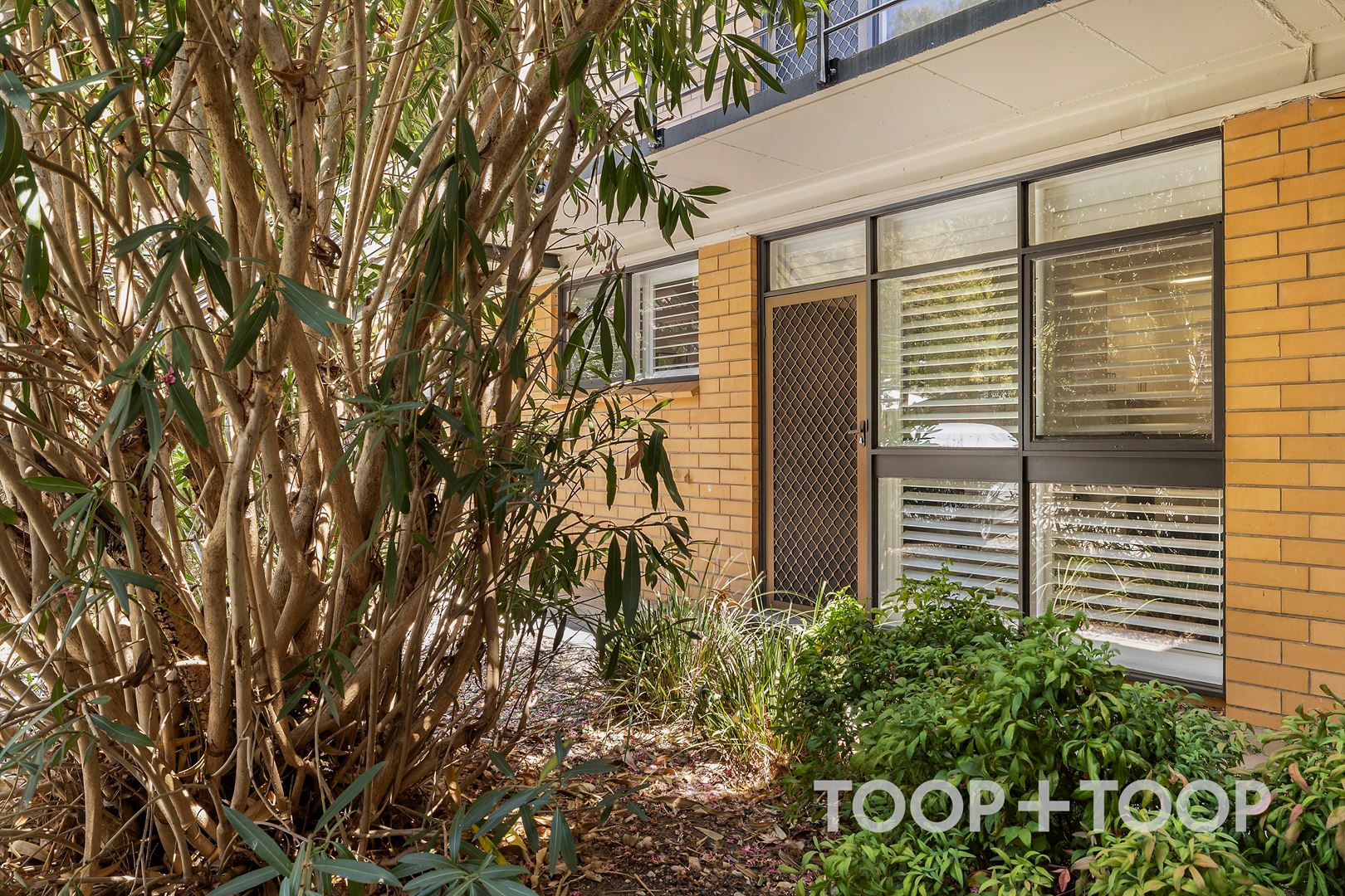 3 / 88 Sussex Street, North Adelaide SA 5006, North Adelaide - Image 1