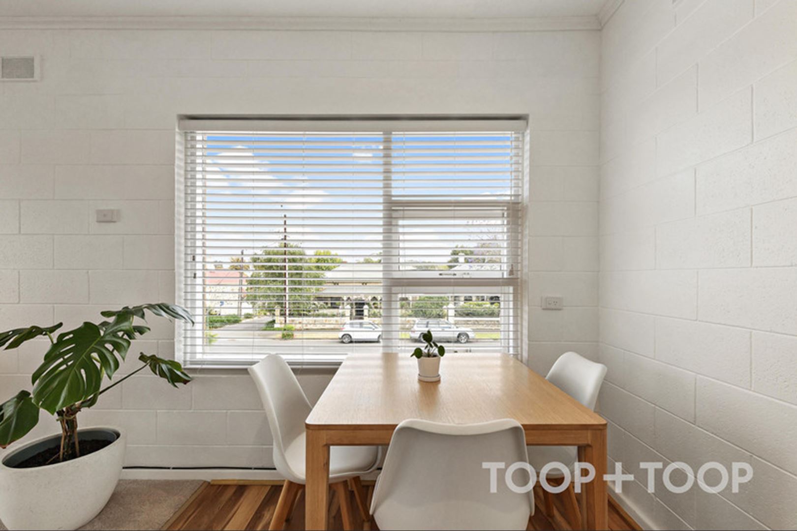 5 / 213 Young Street,Unley SA 5061, Unley - Thumbnail 3
