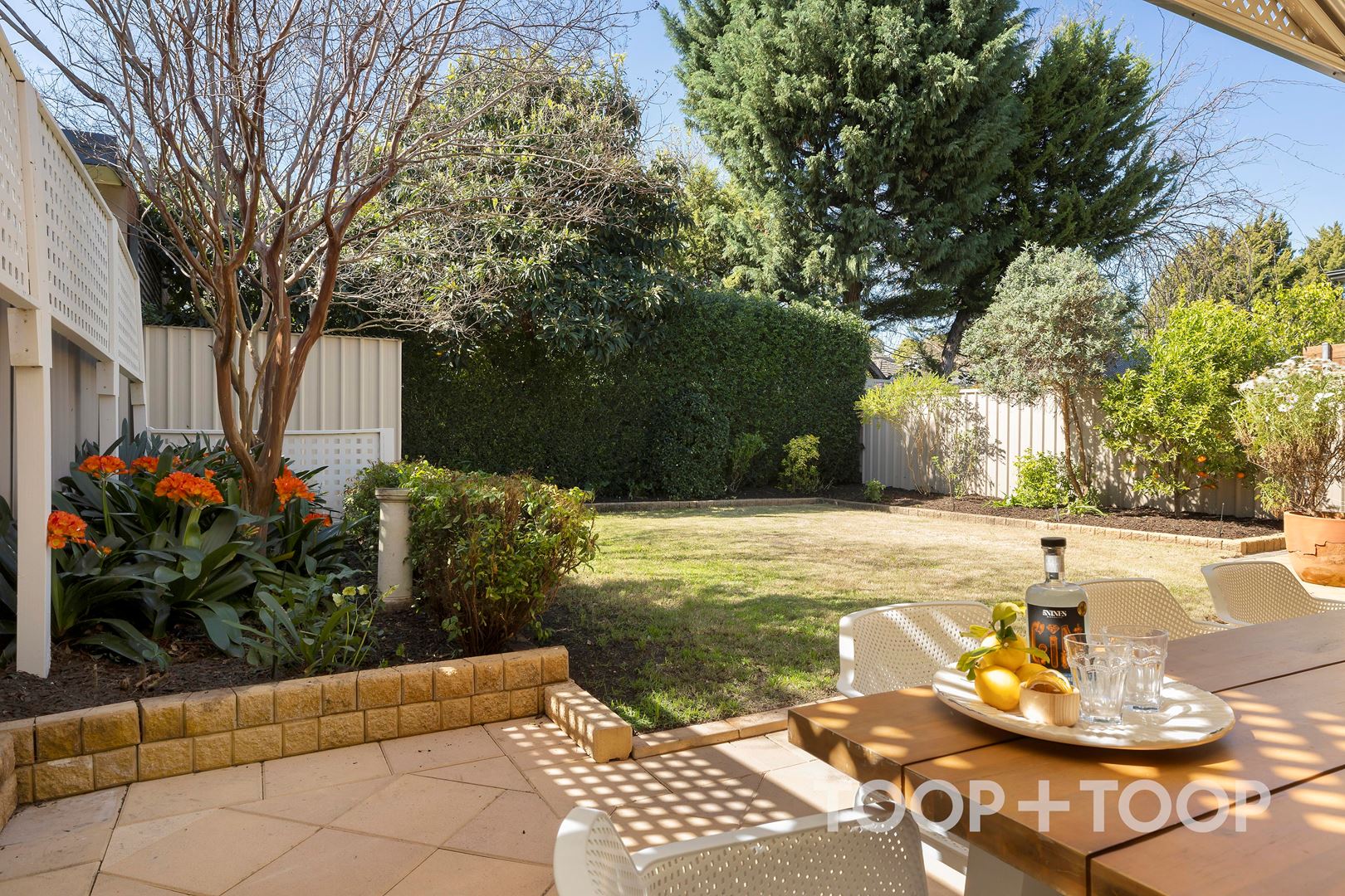 16 Kitchener Avenue,Dulwich SA 5065, Dulwich - Thumbnail 8