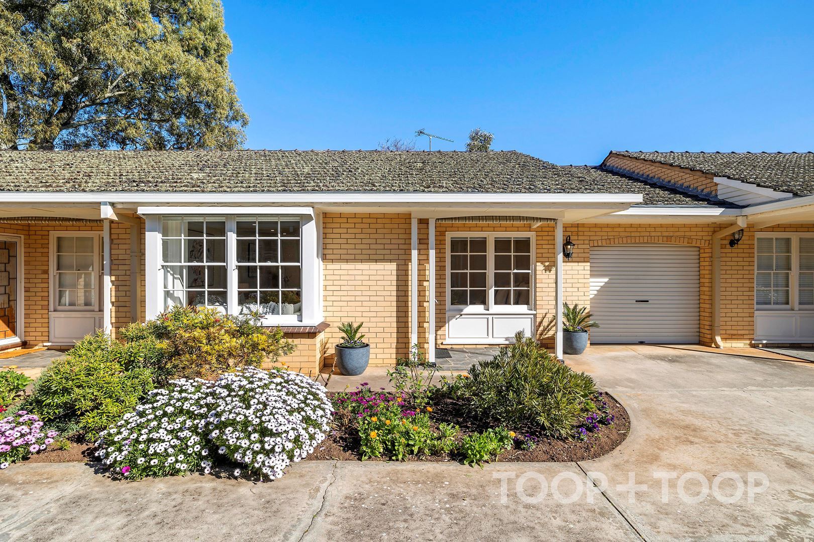 7 / 7 Grandview Avenue,Urrbrae SA 5064, Urrbrae - Thumbnail 2