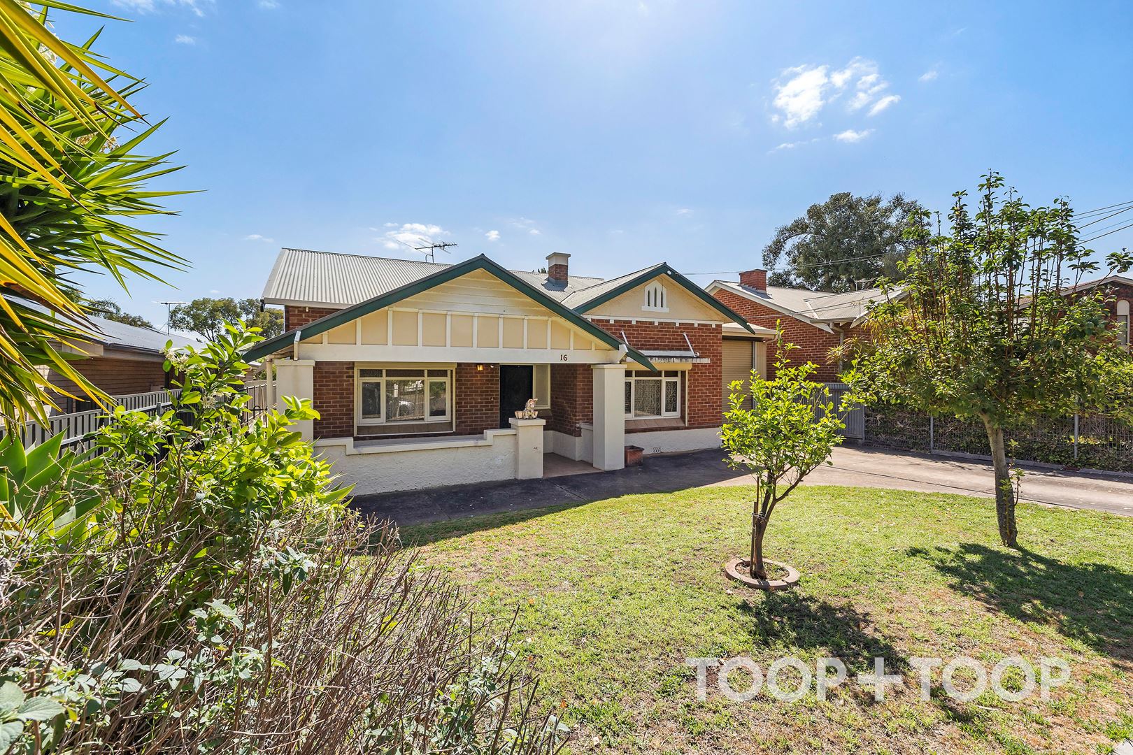 16 Florence Street, Fullarton SA 5063, Fullarton - Thumbnail 4