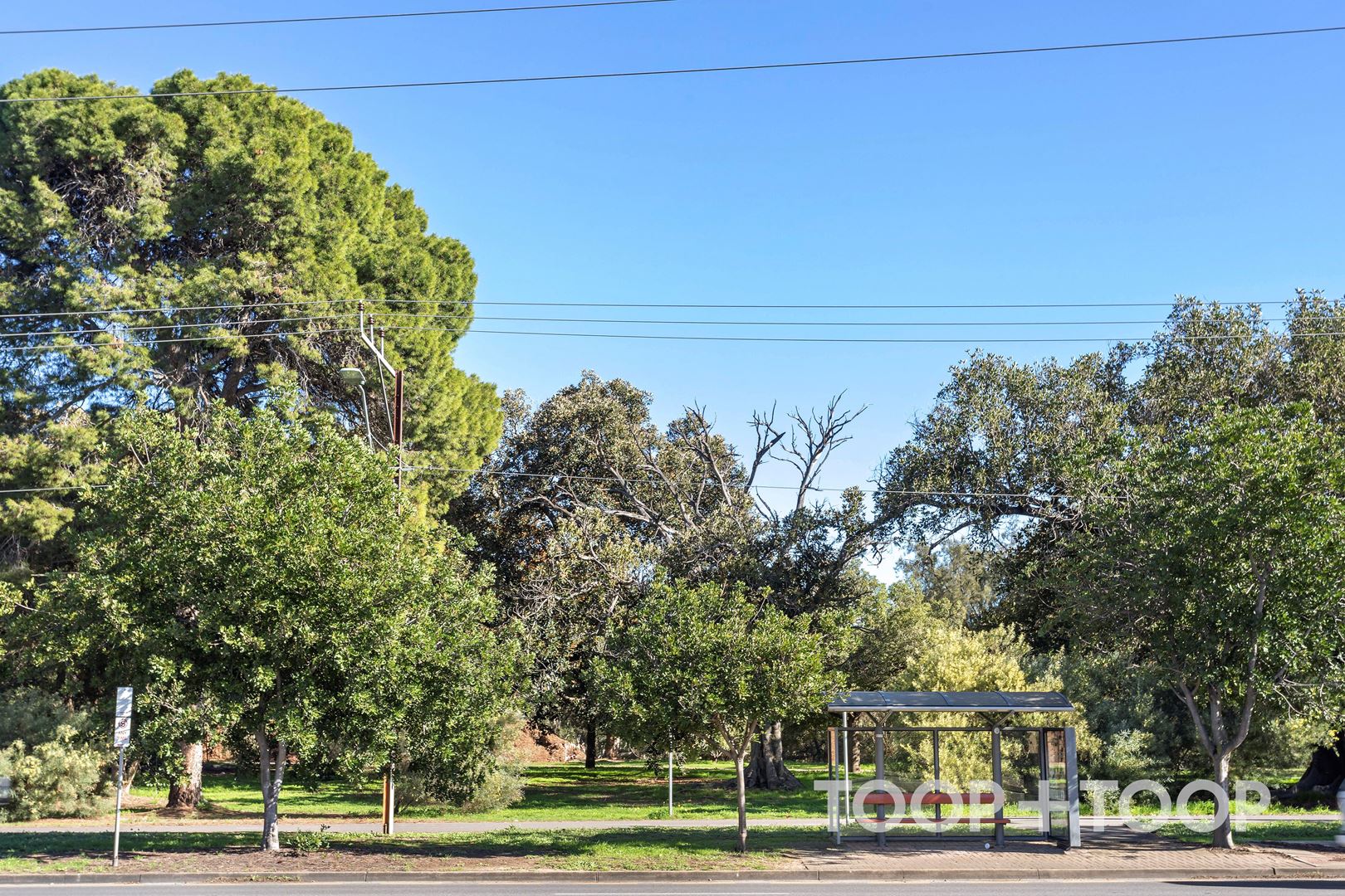2 / 1 Oxford Street, Hackney SA 5069, Hackney - Thumbnail 5