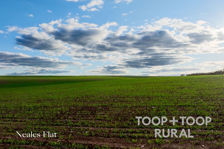 Lot 332 Angle Road