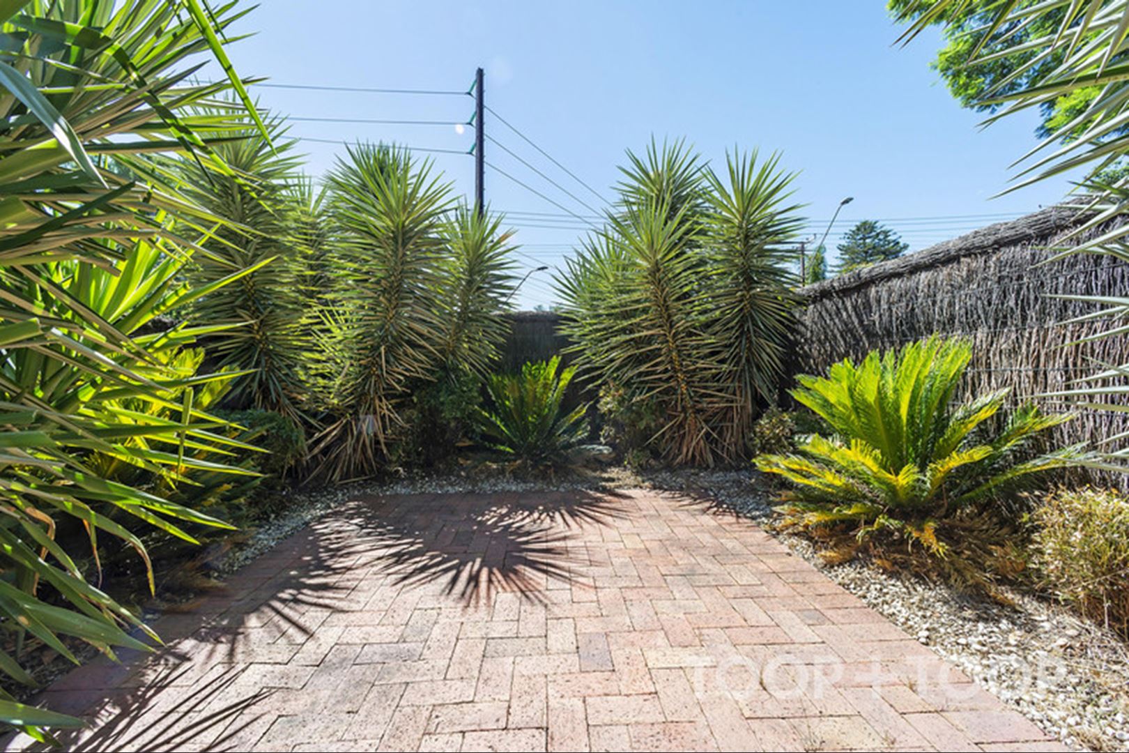 1 / 188 Kensington Road,Marryatville SA 5068, Marryatville - Thumbnail 6