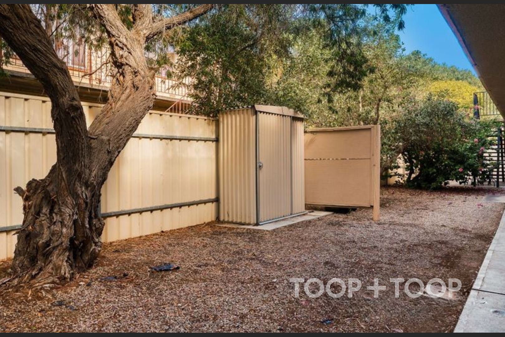 1 / 31 Everard Avenue,Ashford SA 5035, Ashford - Thumbnail 7