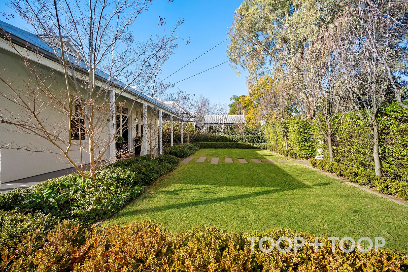 57 Swaine Avenue, Rose Park SA 5067, Rose Park - Thumbnail 2
