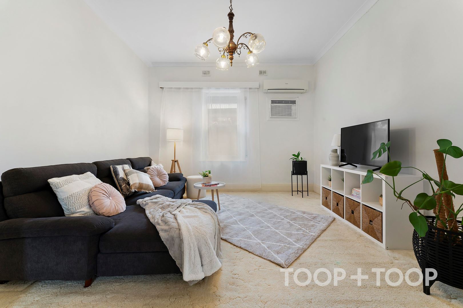 49 Maesbury Street, Kensington SA 5068, Kensington - Thumbnail 4