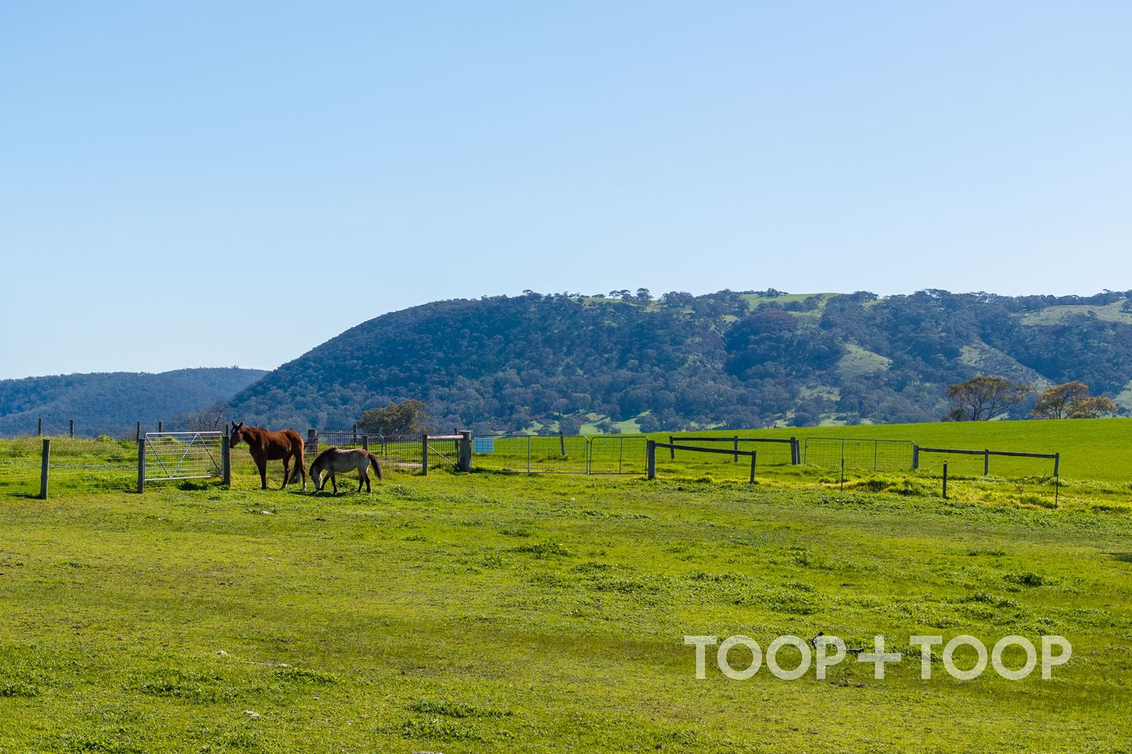 4366 Victor Harbor Road, Hindmarsh Valley SA 5211, Hindmarsh Valley - Thumbnail 3