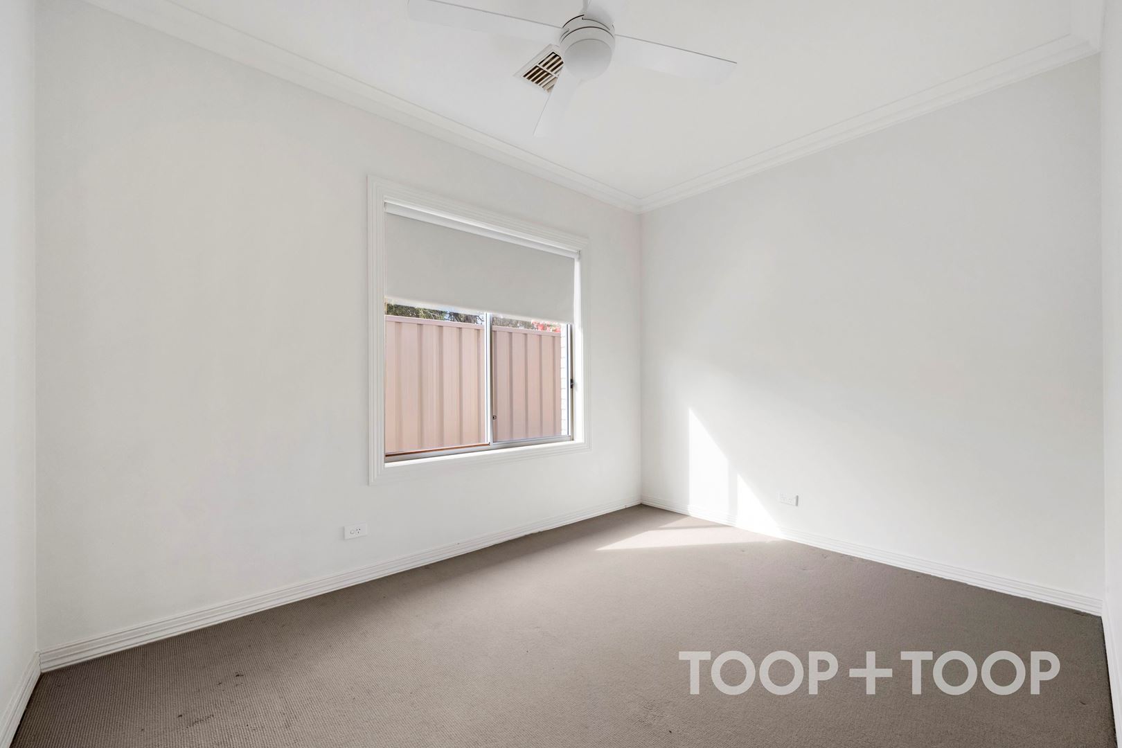16 Griffiths Road,Plympton Park SA 5038, Plympton Park - Thumbnail 7