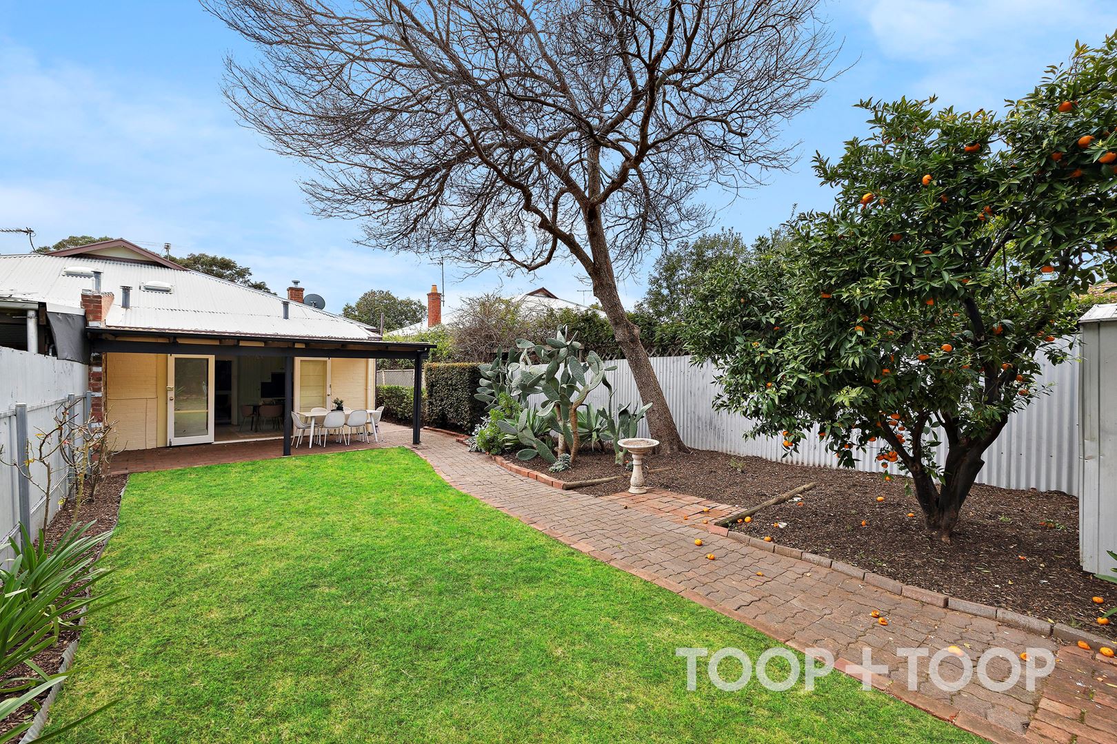 1 / 25 Osmond Terrace, Fullarton SA 5063, Fullarton - Thumbnail 7