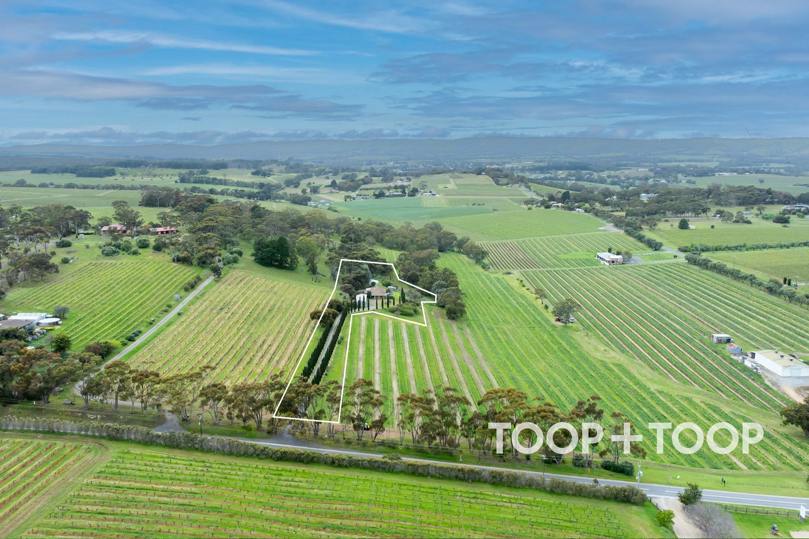 30 Olivers Road, Mclaren Vale SA 5171, McLaren Vale - Thumbnail 2