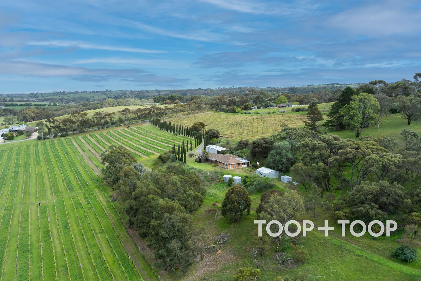 30 Olivers Road, Mclaren Vale SA 5171, McLaren Vale - Thumbnail 3