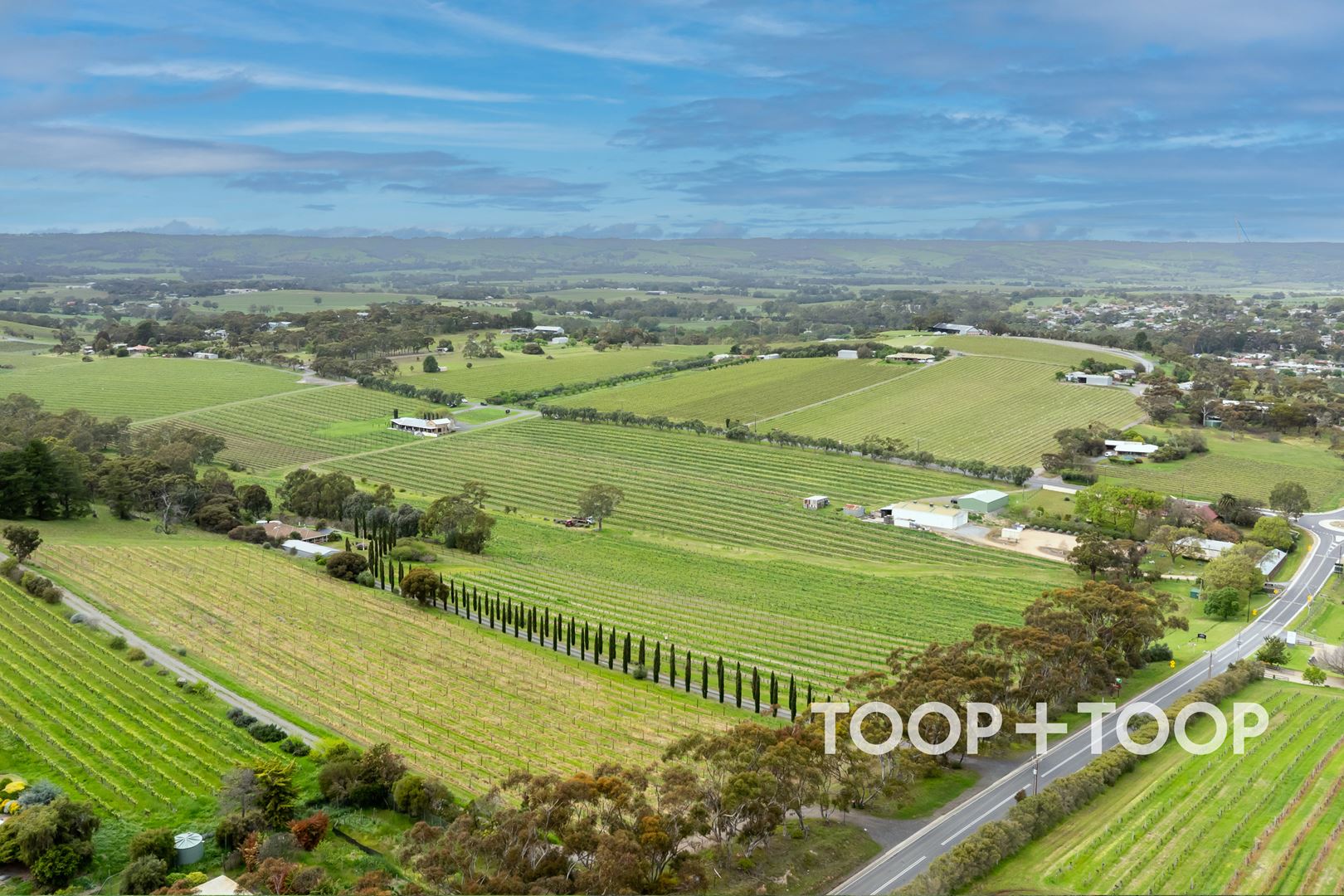 30 Olivers Road, Mclaren Vale SA 5171, McLaren Vale - Thumbnail 4