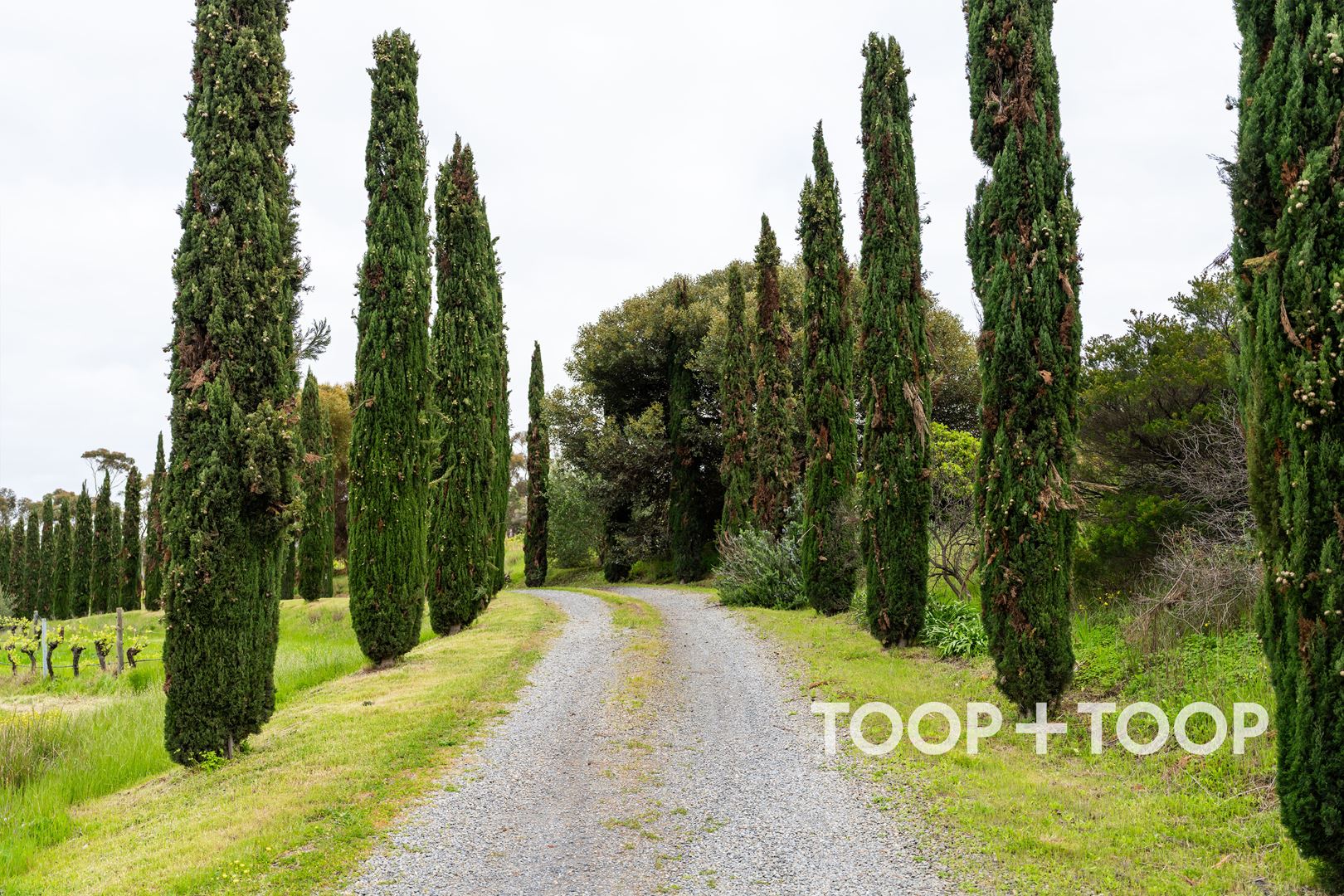 30 Olivers Road, Mclaren Vale SA 5171, McLaren Vale - Thumbnail 6