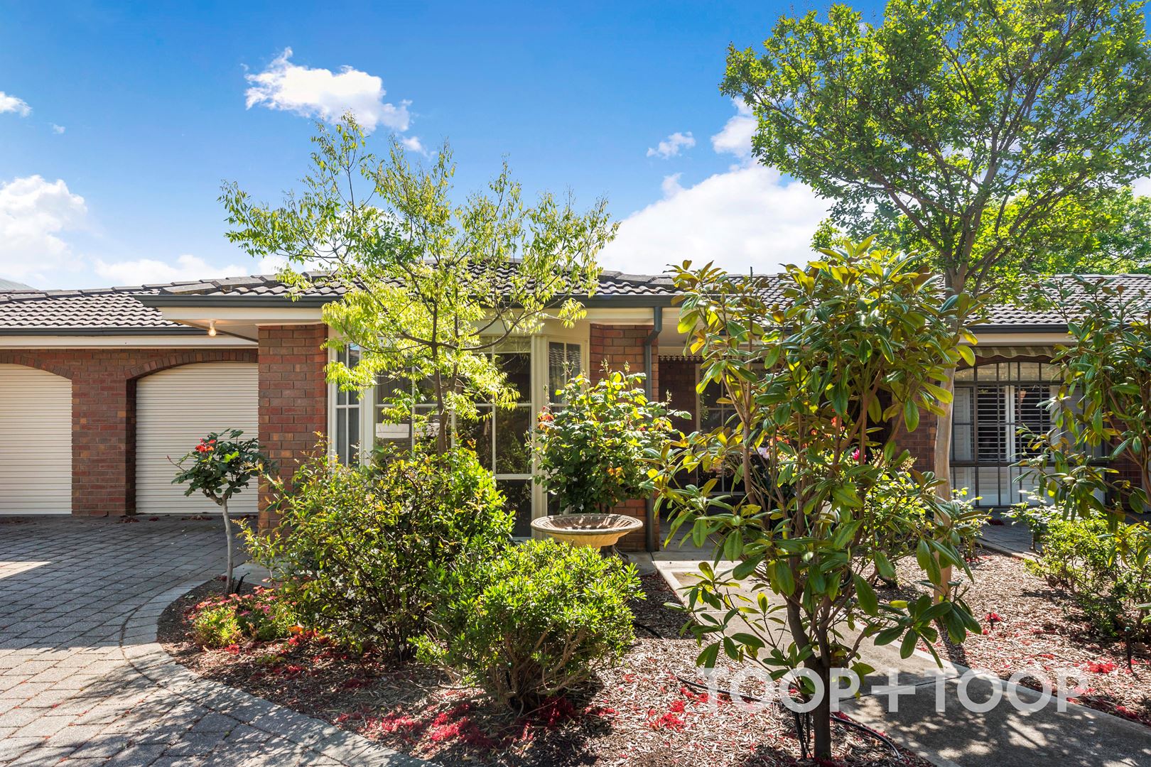 2 / 3 Farrell Street,Glenelg South SA 5045, Glenelg South - Thumbnail 2