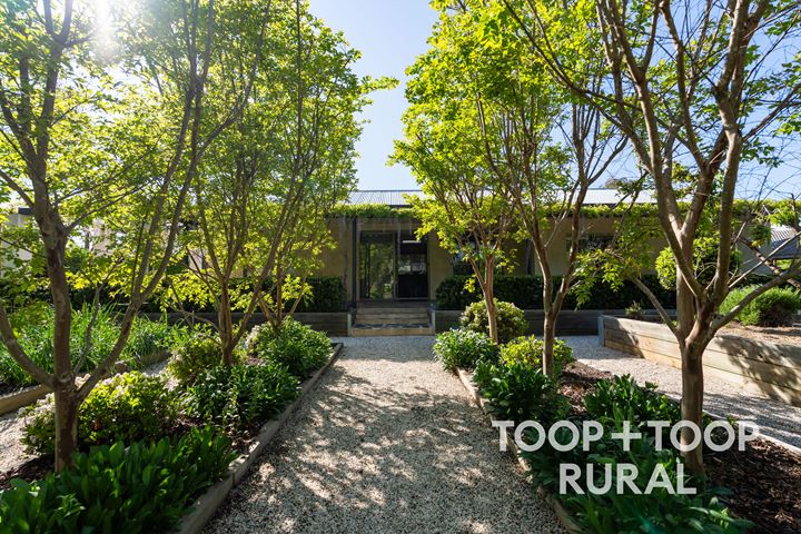 12 Willow Drive