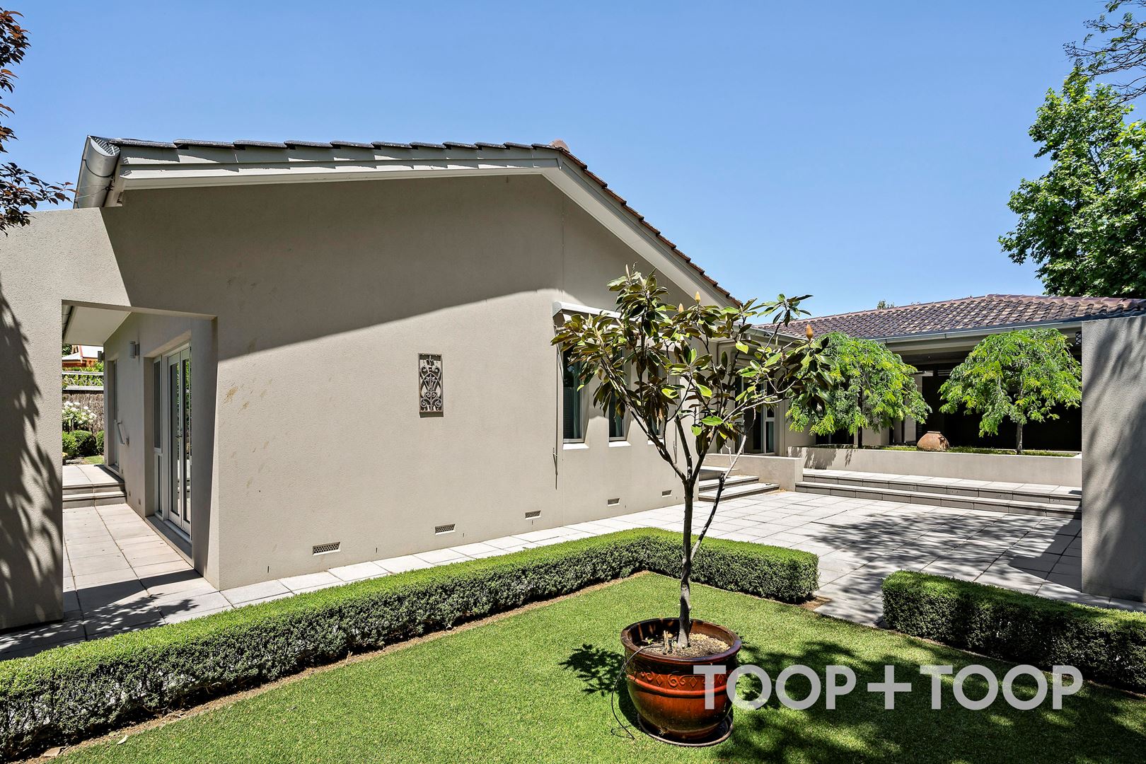 1 Elm Street,Unley Park SA 5061