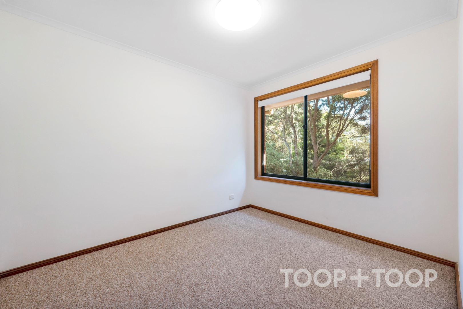 3 / 1 Martha Street,Paradise SA 5075, Paradise - Thumbnail 7