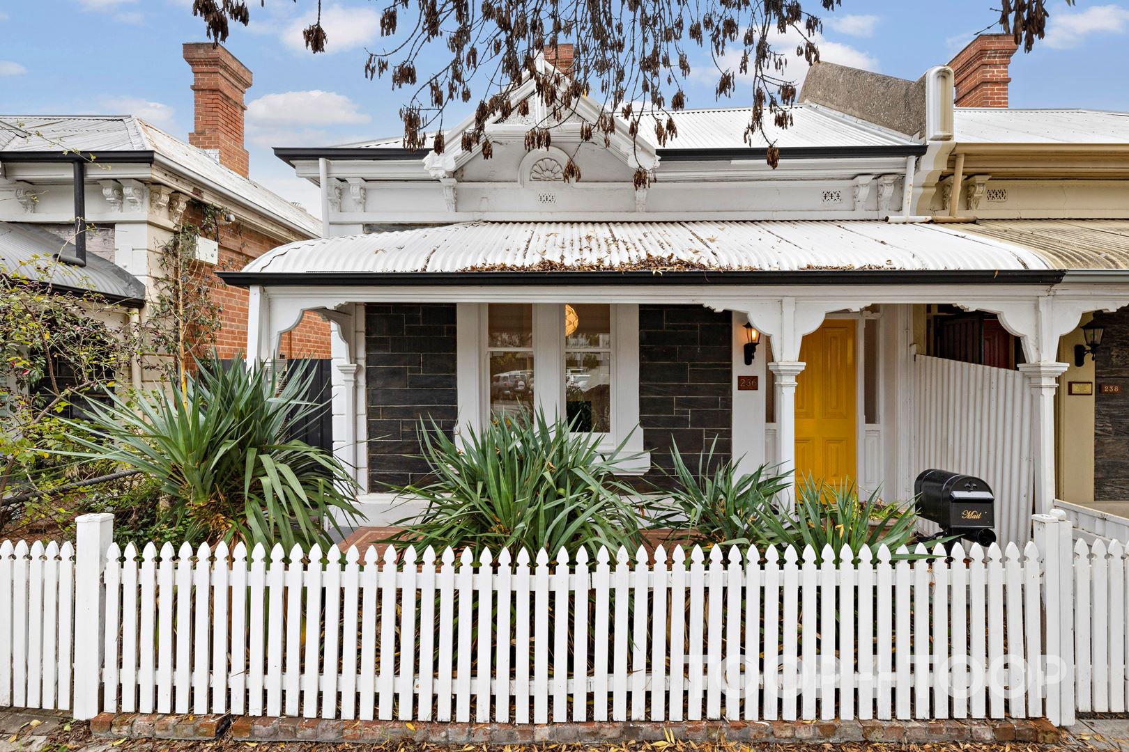 236 Halifax Street,Adelaide SA 5000