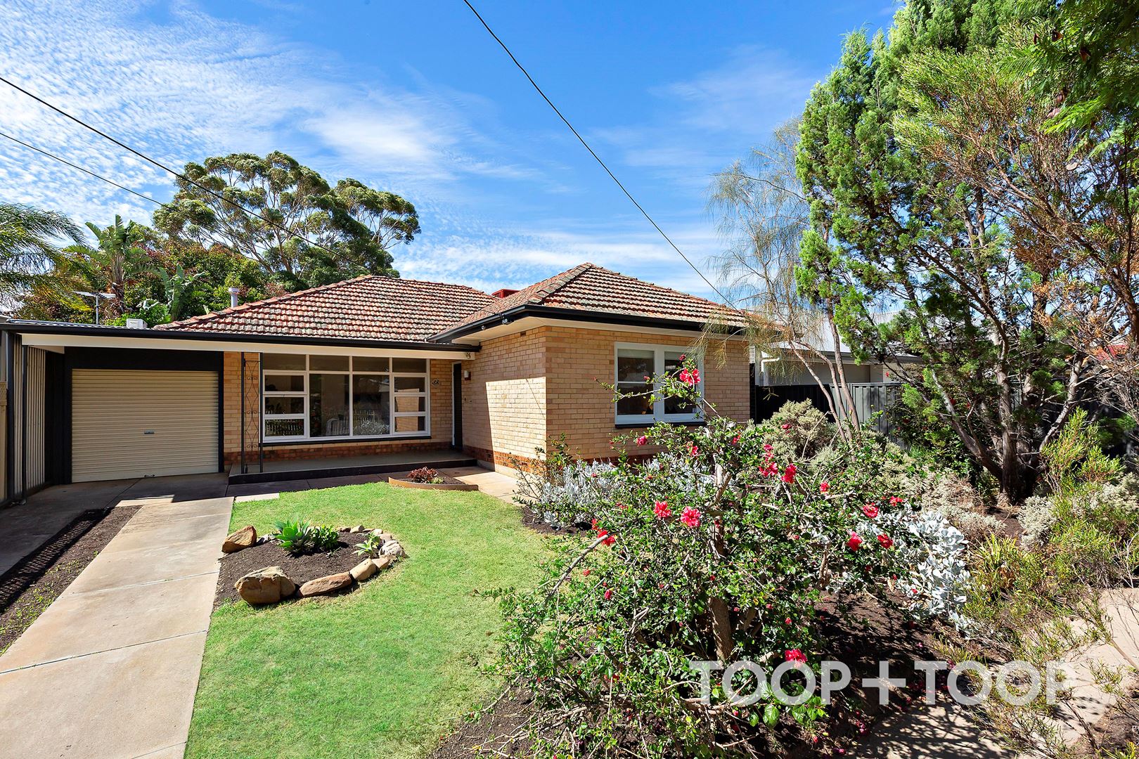 3A Rothermore Street, Cumberland Park SA 5041, Cumberland Park - Thumbnail 2