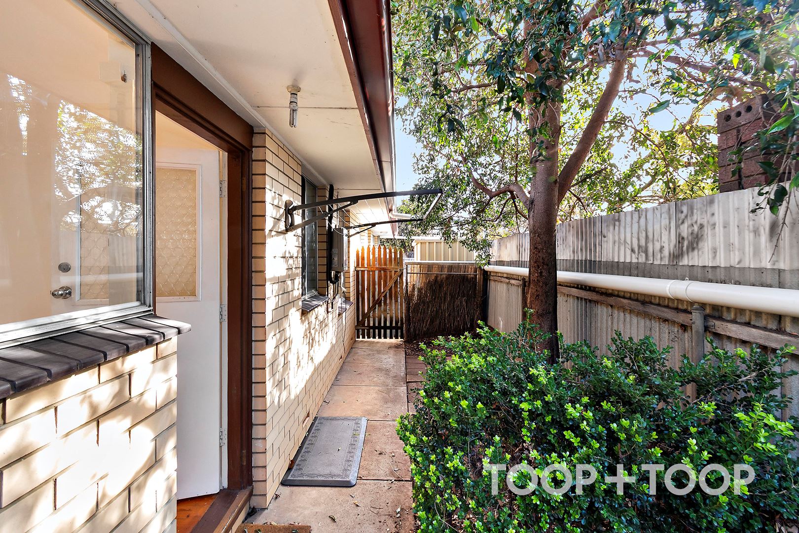 3 / 14 George Street,Payneham SA 5070, Payneham - Thumbnail 4