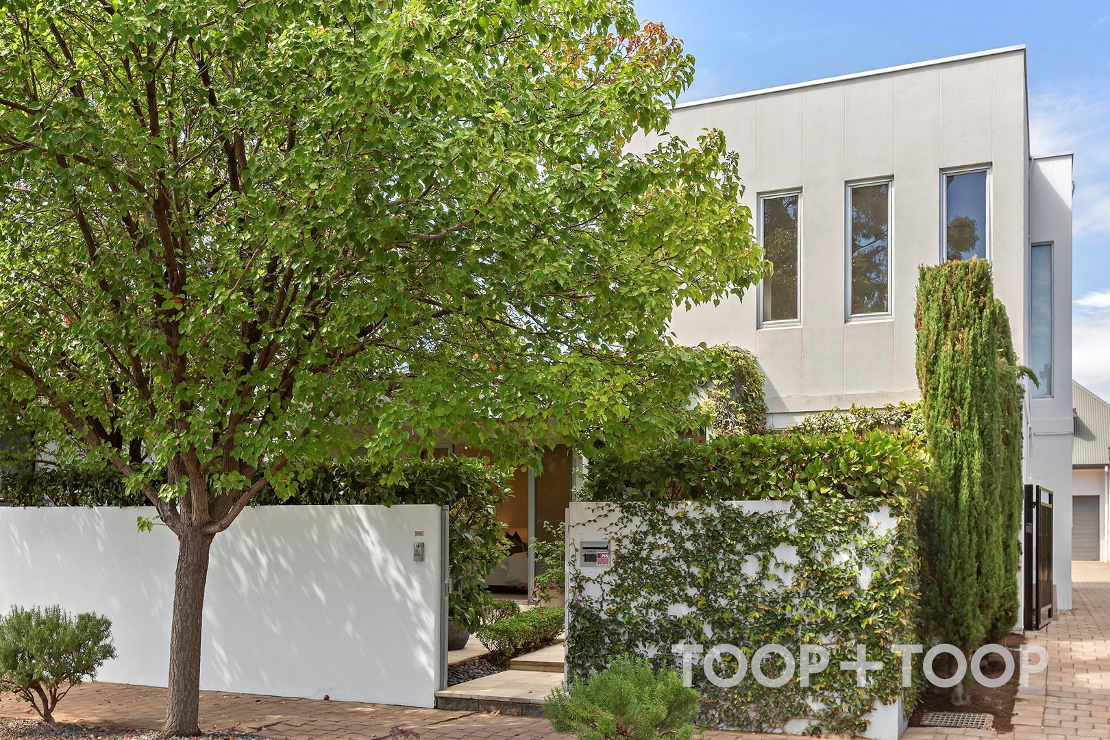 1 Martens Avenue, Fullarton SA 5063, Fullarton - Thumbnail 3