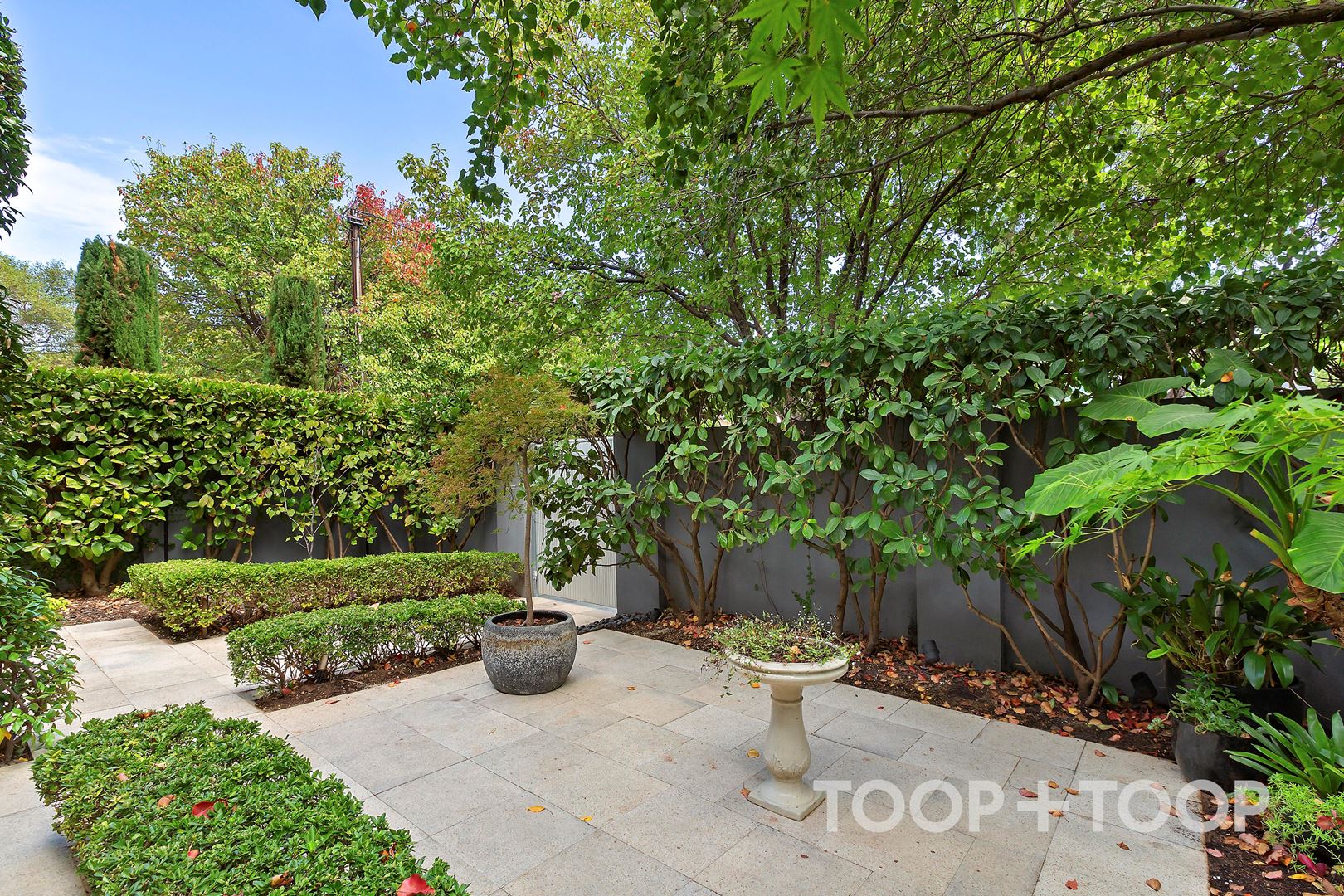 1 Martens Avenue, Fullarton SA 5063, Fullarton - Thumbnail 4