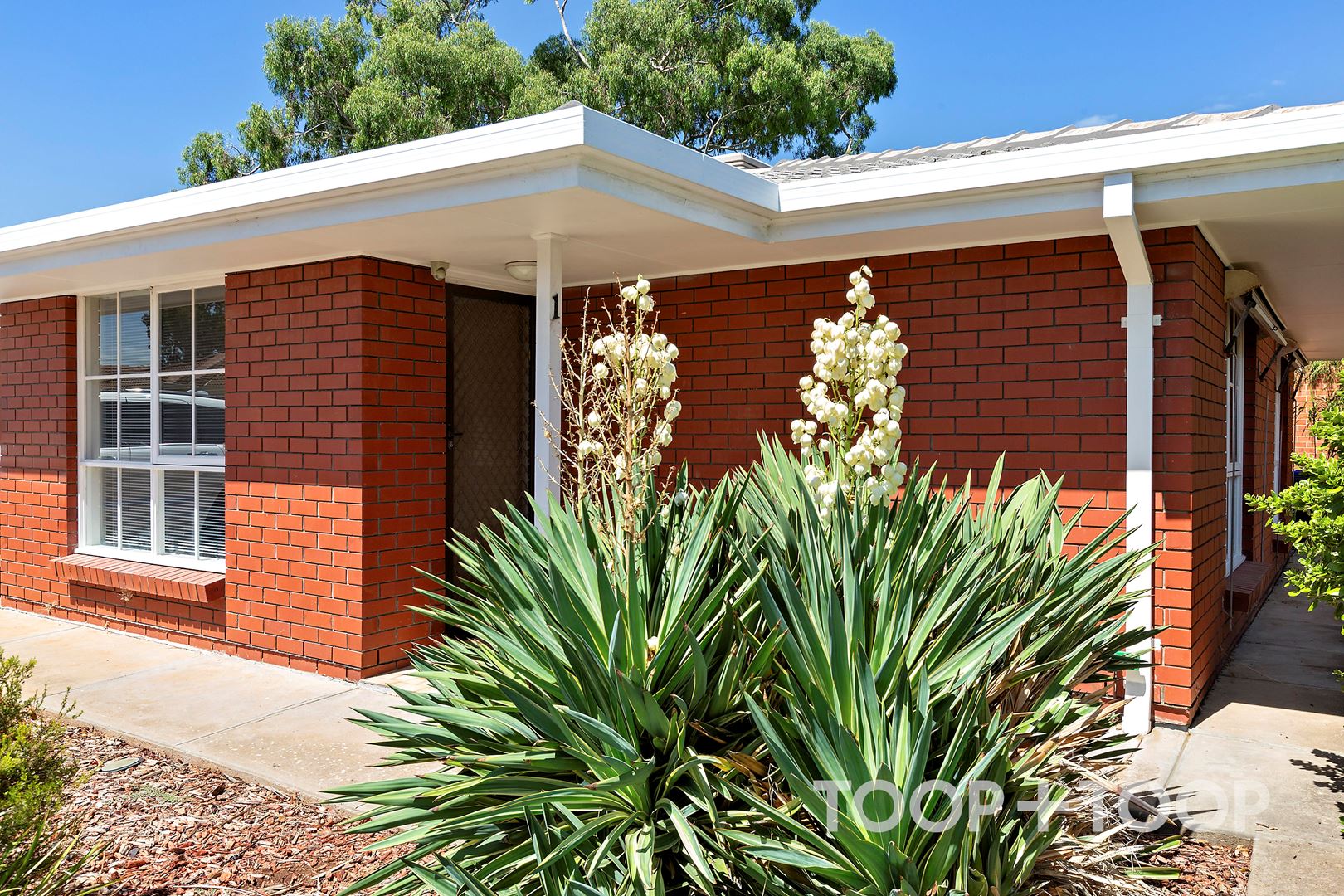 1 / 74 McDonnell Avenue,West Hindmarsh SA 5007, West Hindmarsh - Image 1